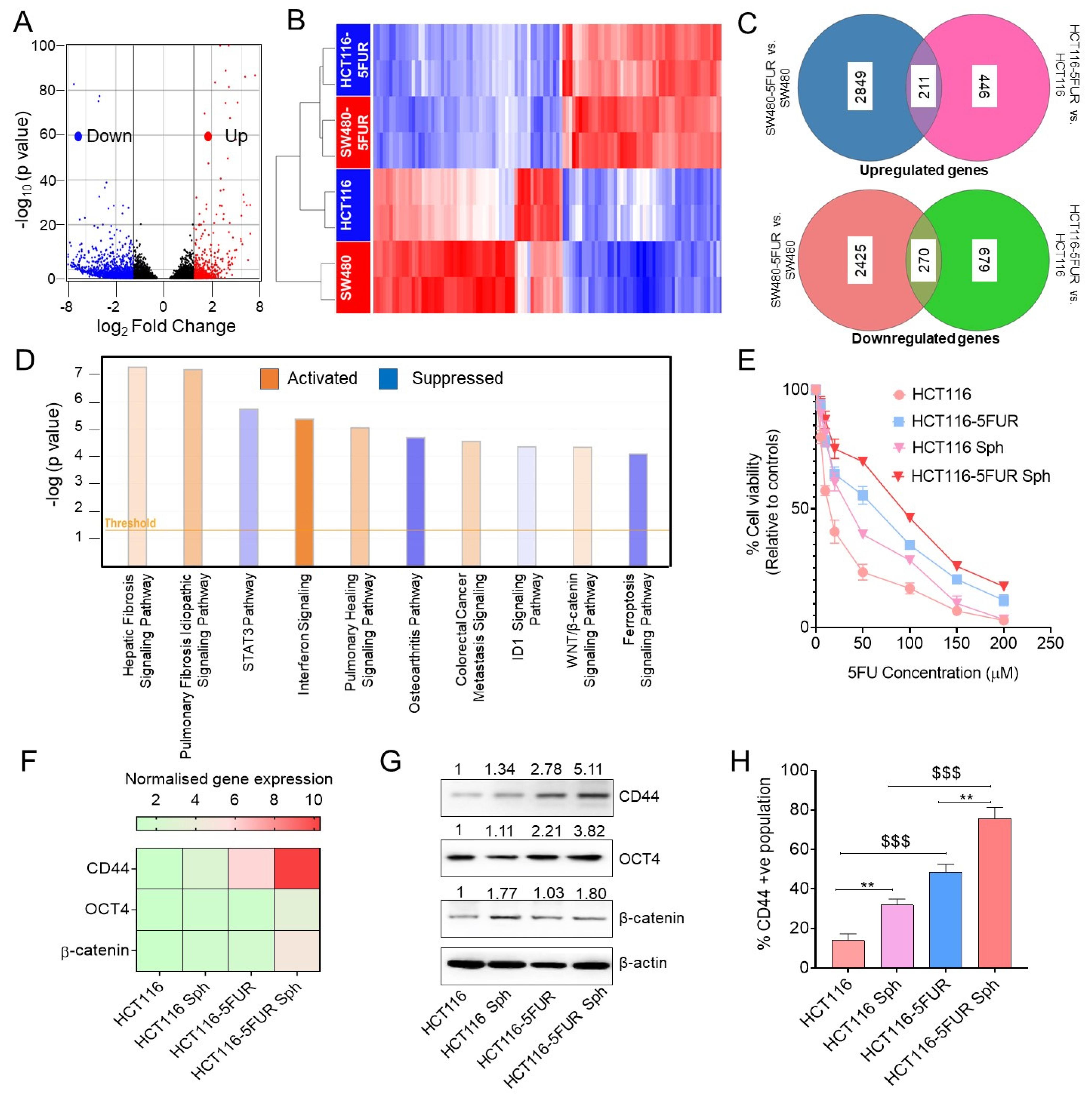 Cancers 14 01281 g002