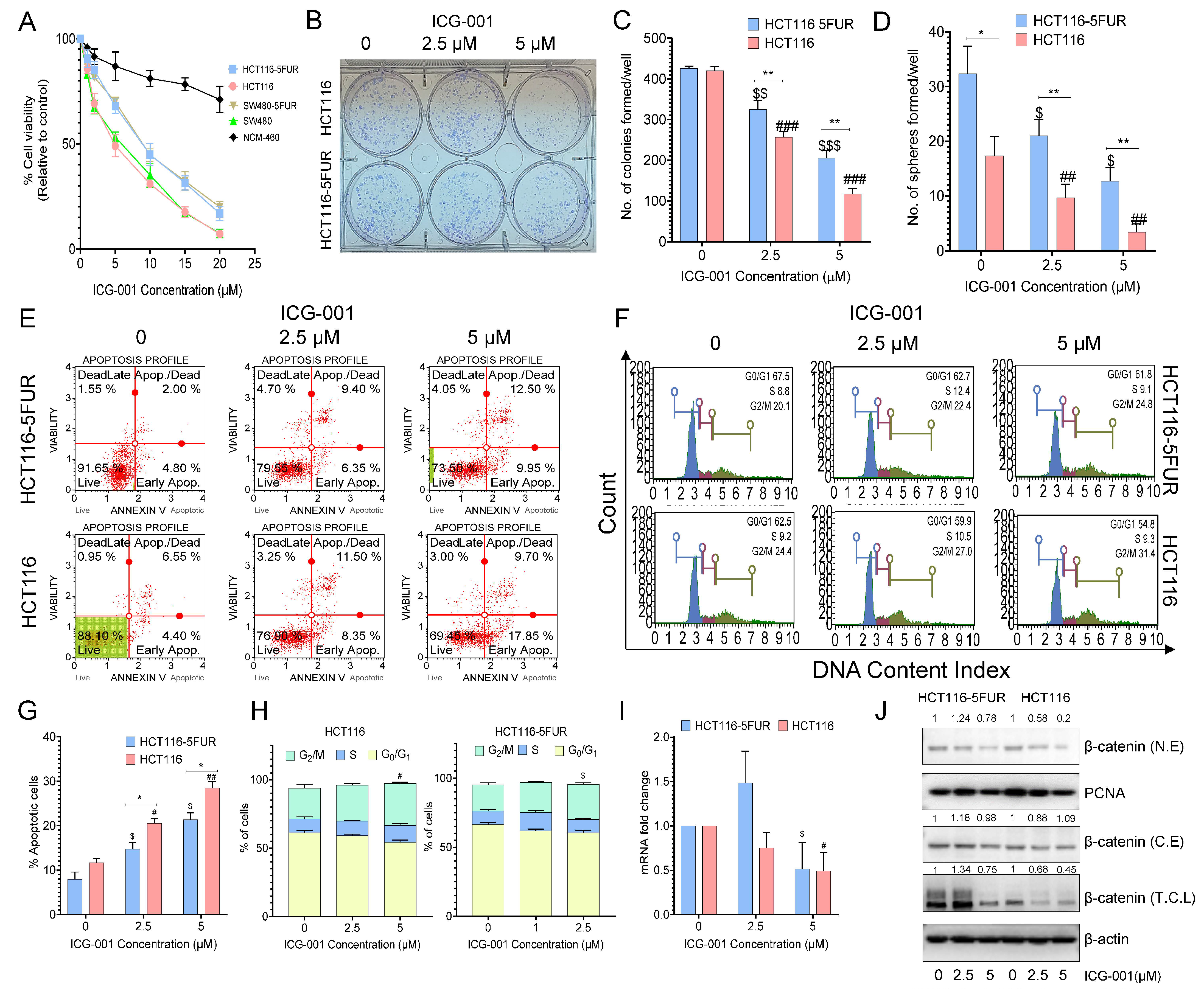 Cancers 14 01281 g003