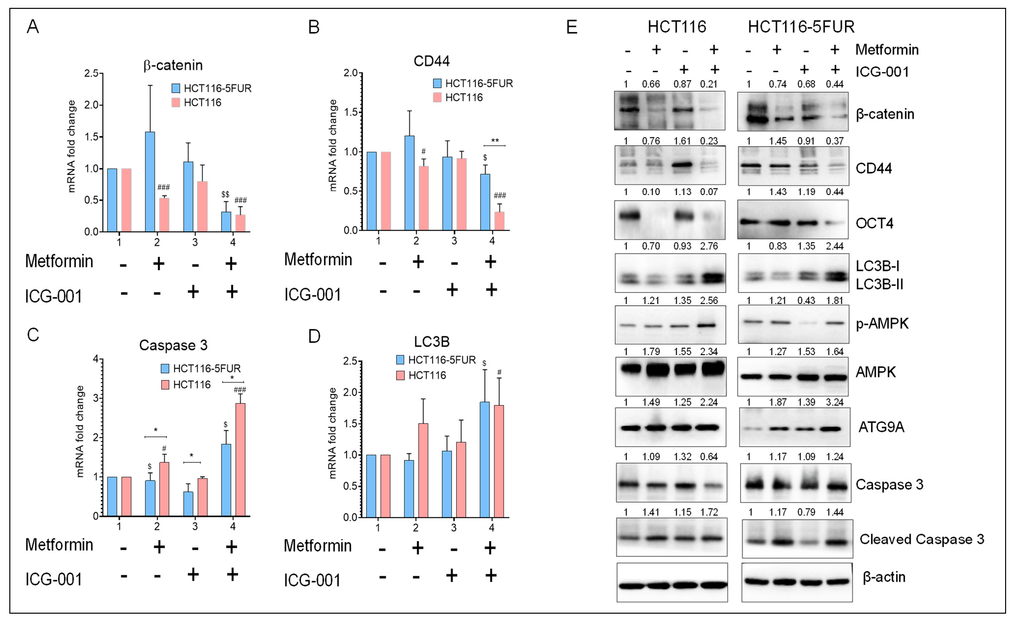 Cancers 14 01281 g005