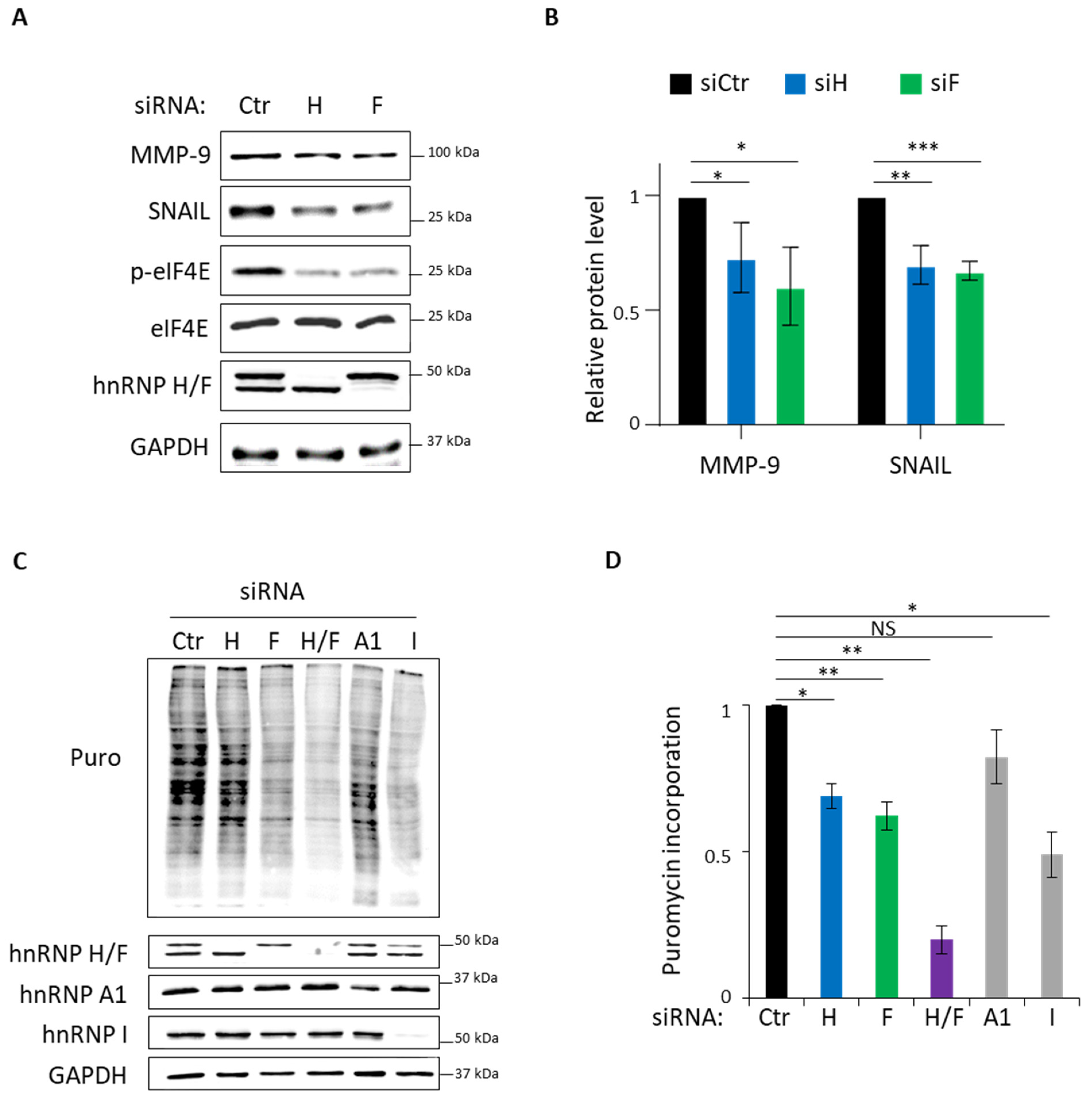 Cancers 14 01283 g003