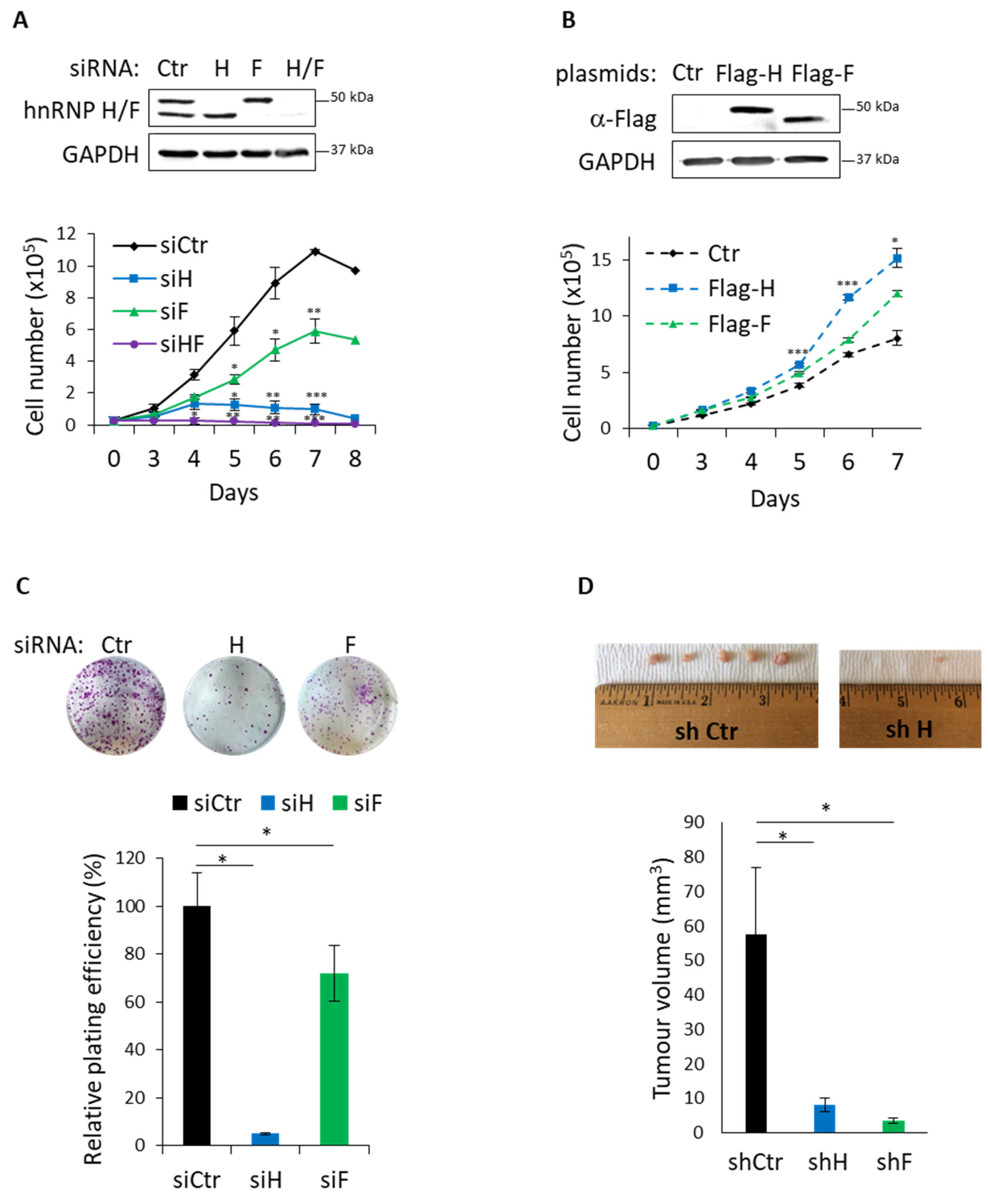 Cancers 14 01283 g005