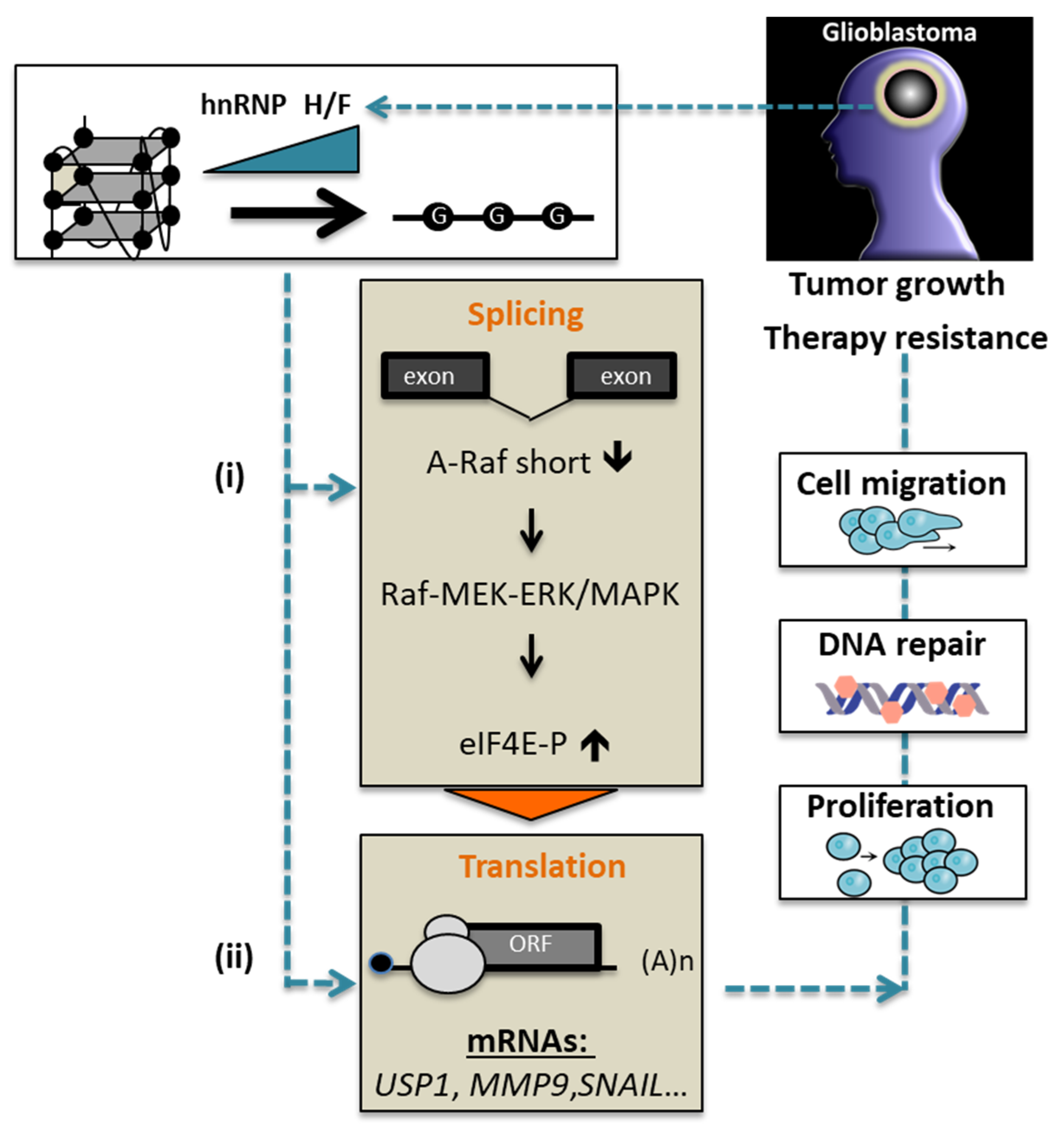 Cancers 14 01283 g006