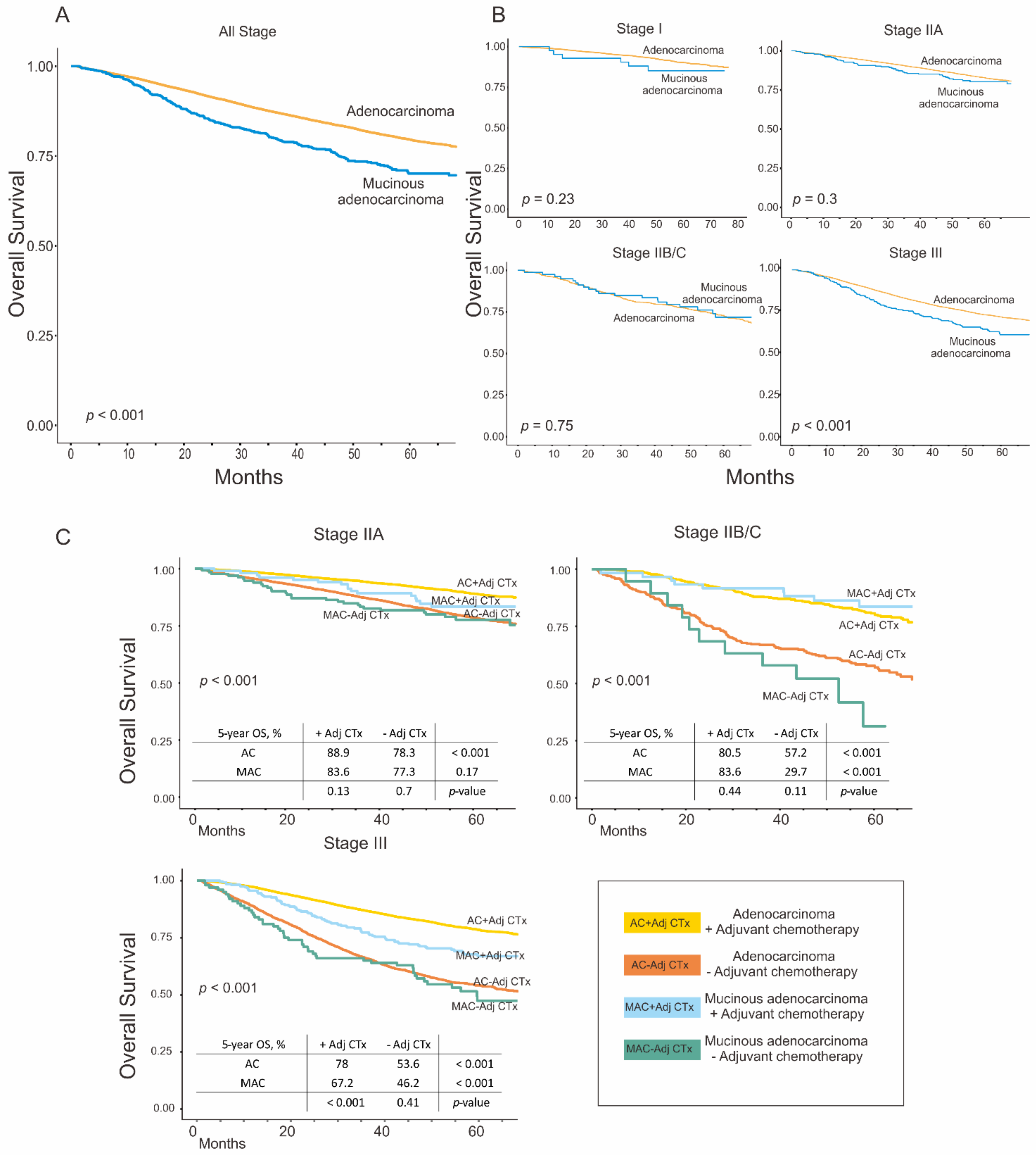 Cancers 14 01297 g001