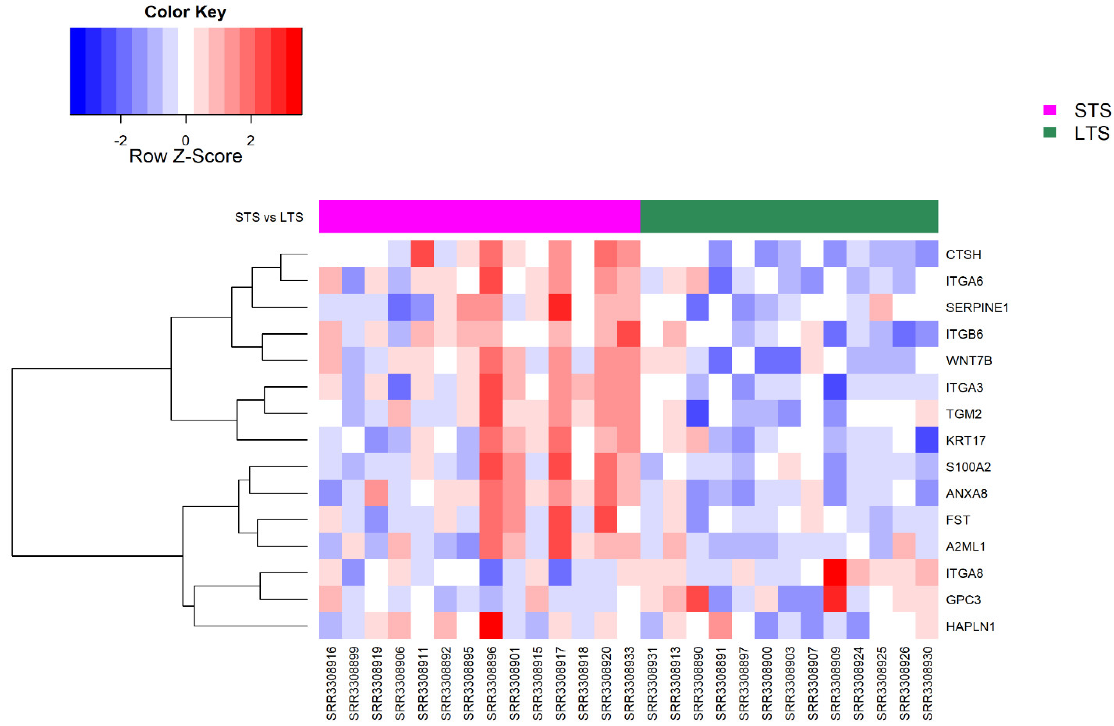 Cancers 14 01298 g005