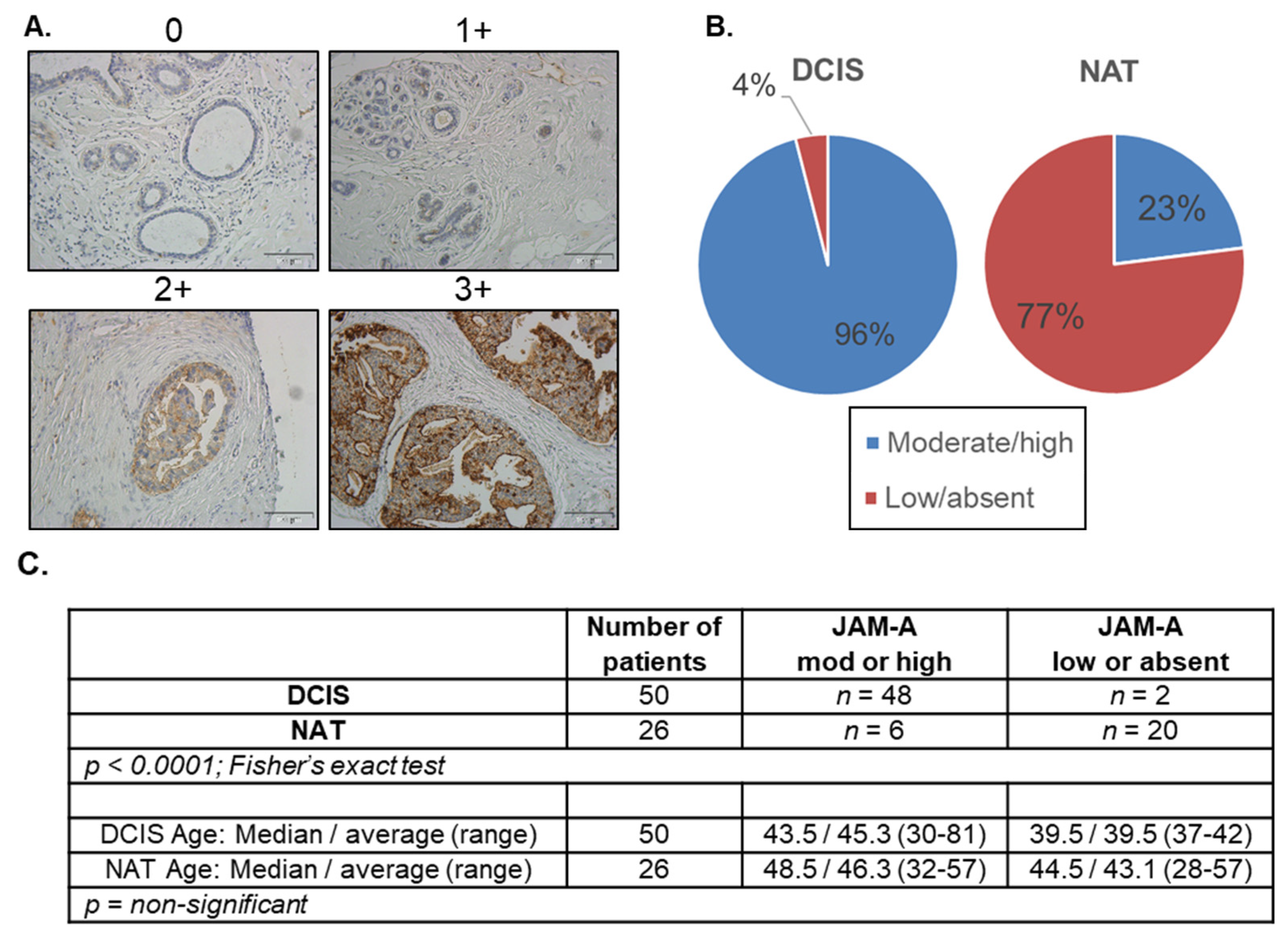 Cancers 14 01303 g001 Cancers 14 01303 g001
