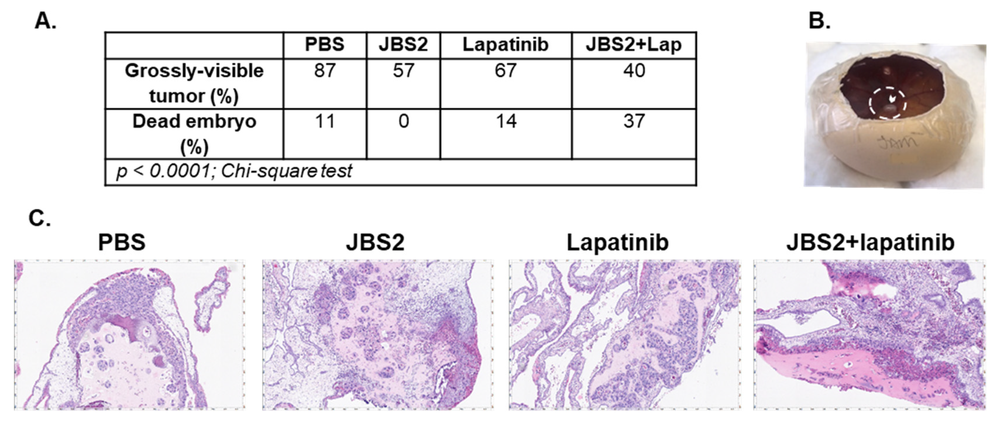 Cancers 14 01303 g003 Cancers 14 01303 g003