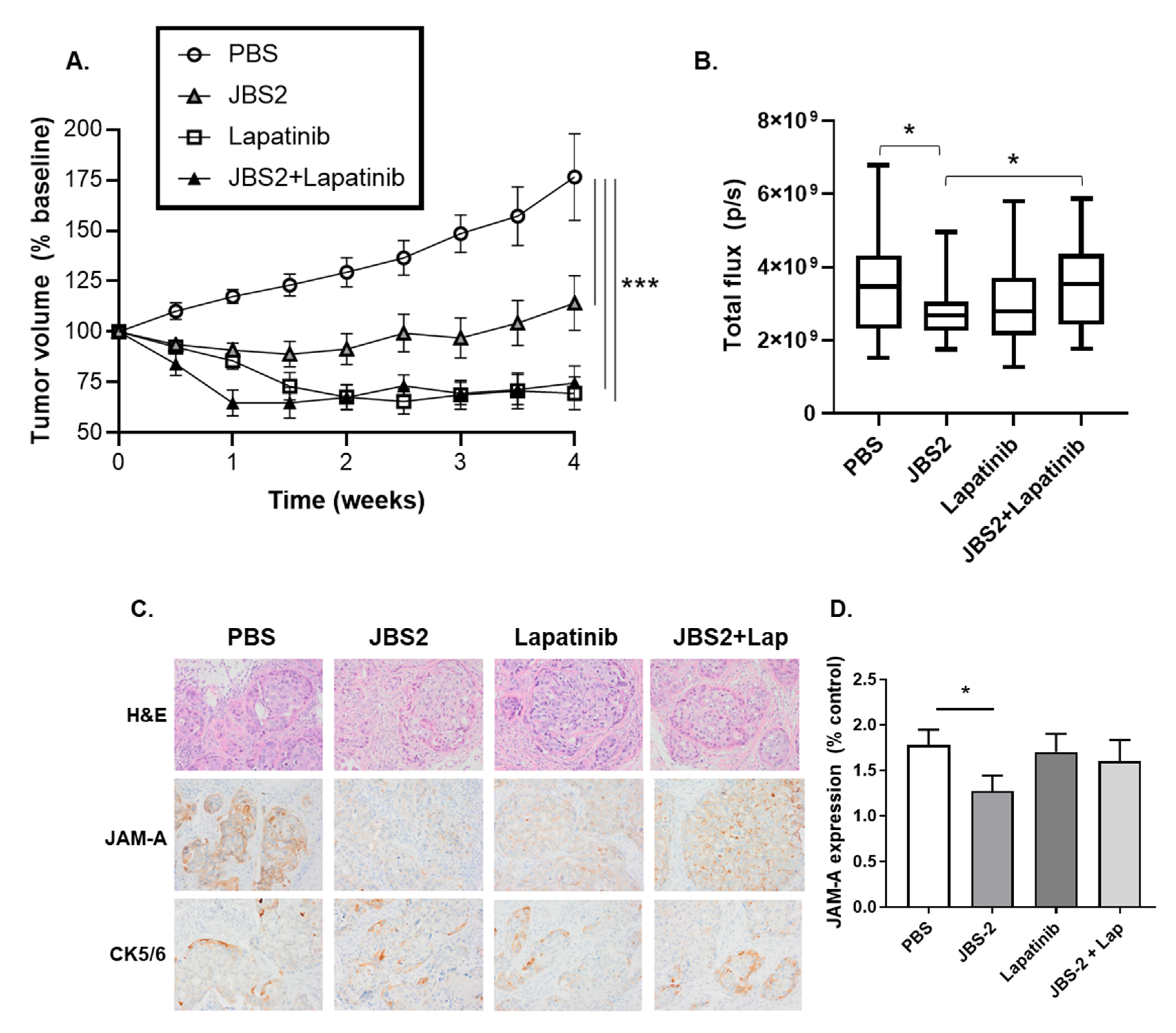 Cancers 14 01303 g004a Cancers 14 01303 g004a