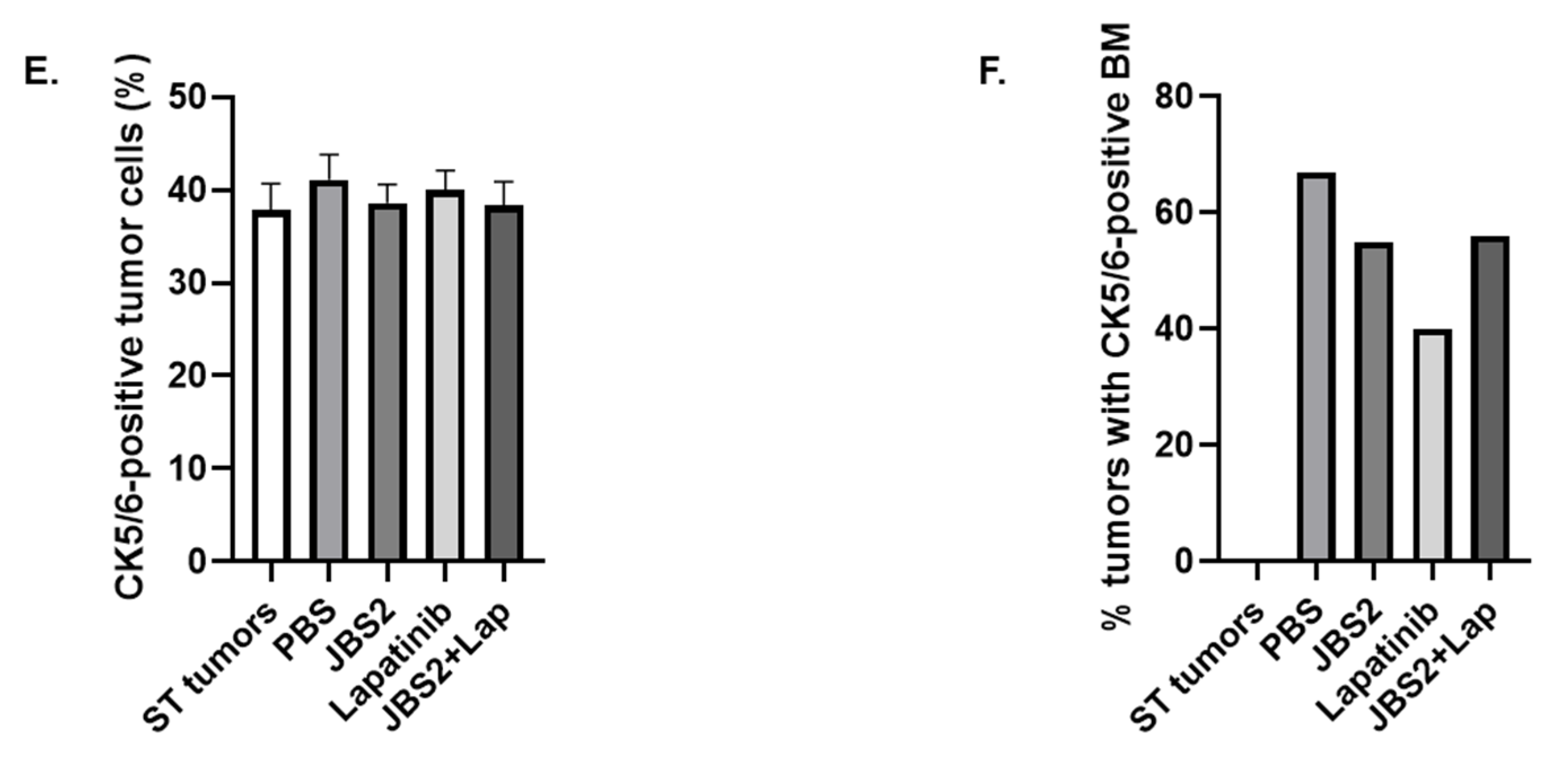 Cancers 14 01303 g004b Cancers 14 01303 g004b