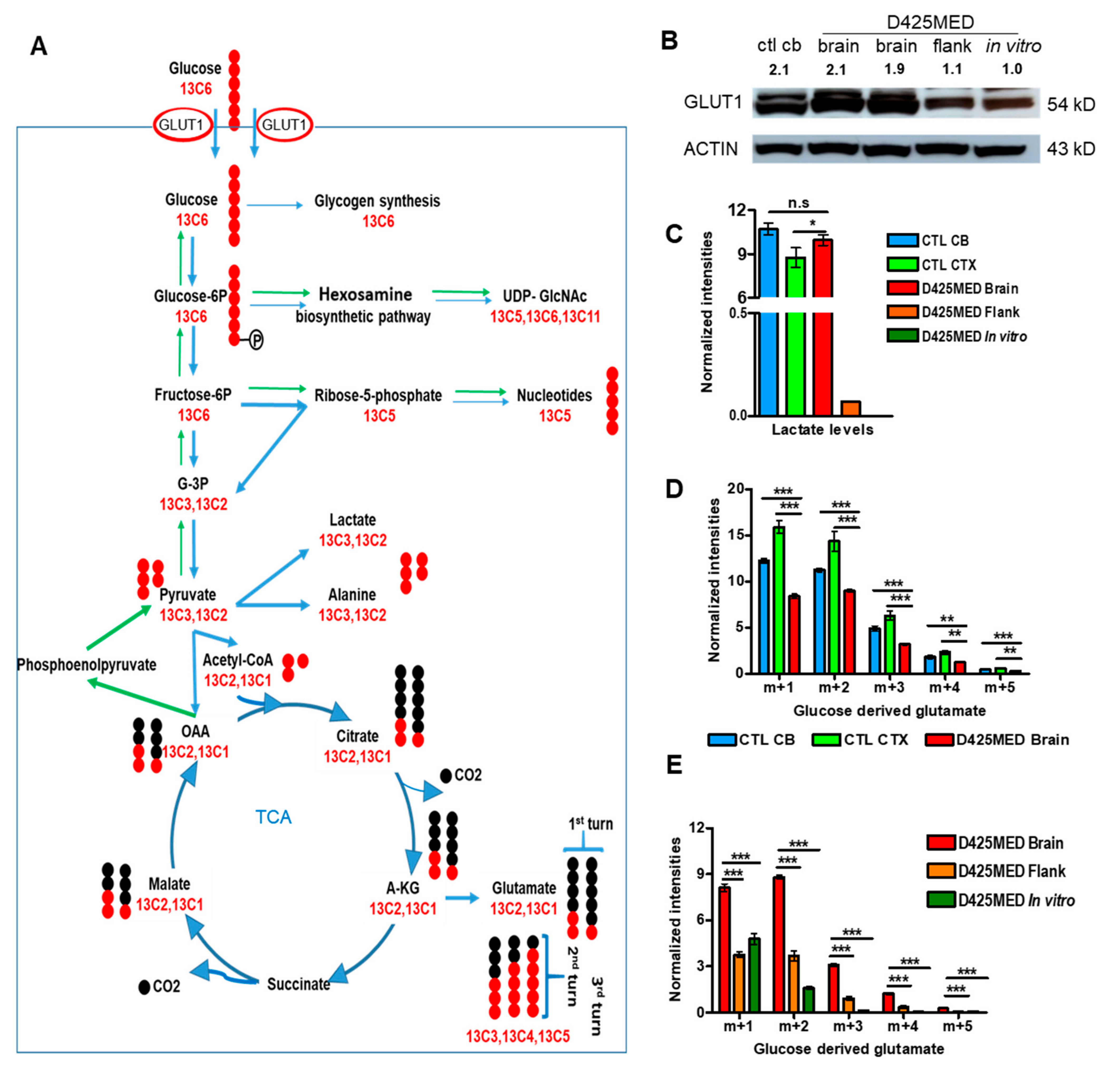 Cancers 14 01311 g003