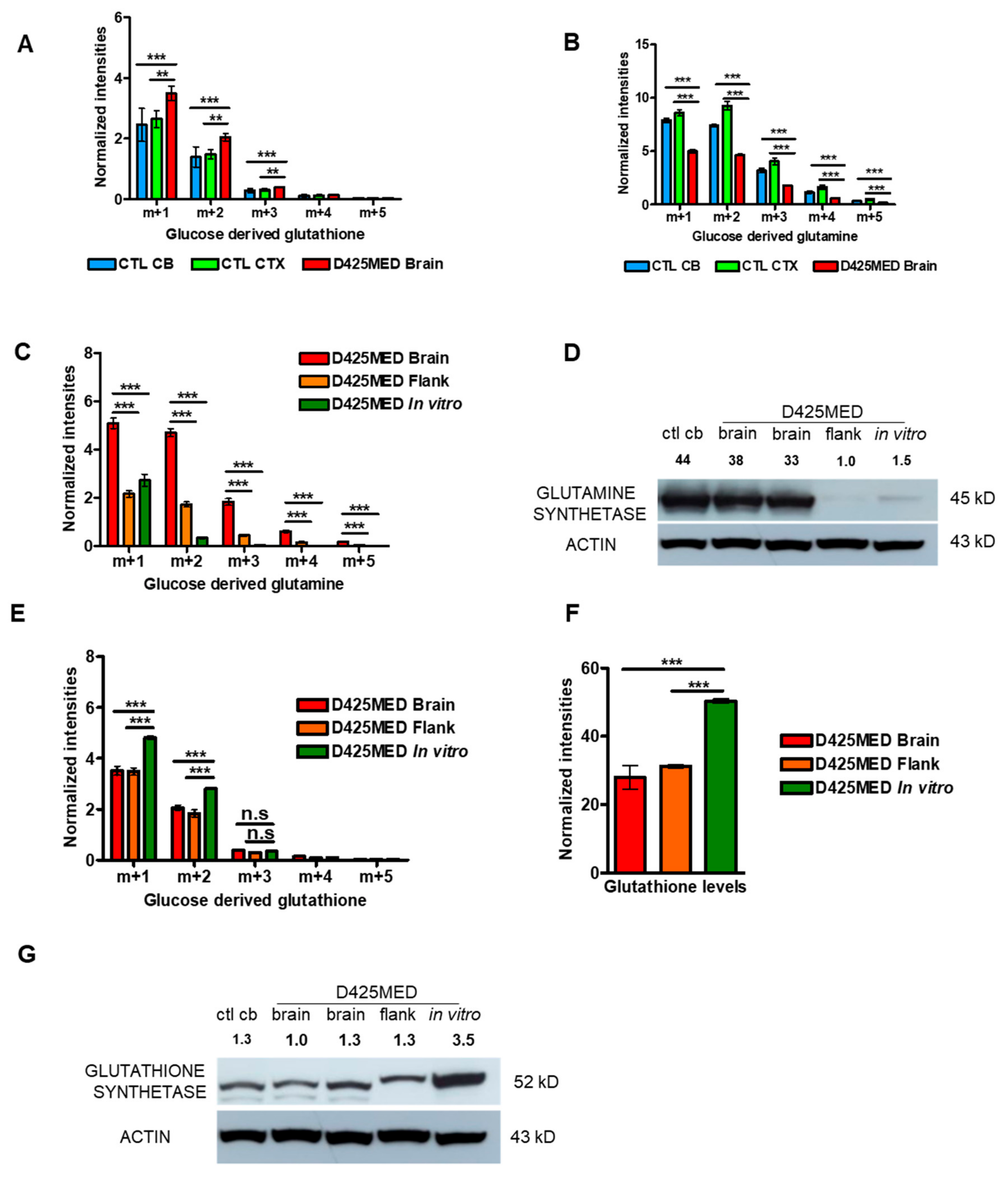 Cancers 14 01311 g004