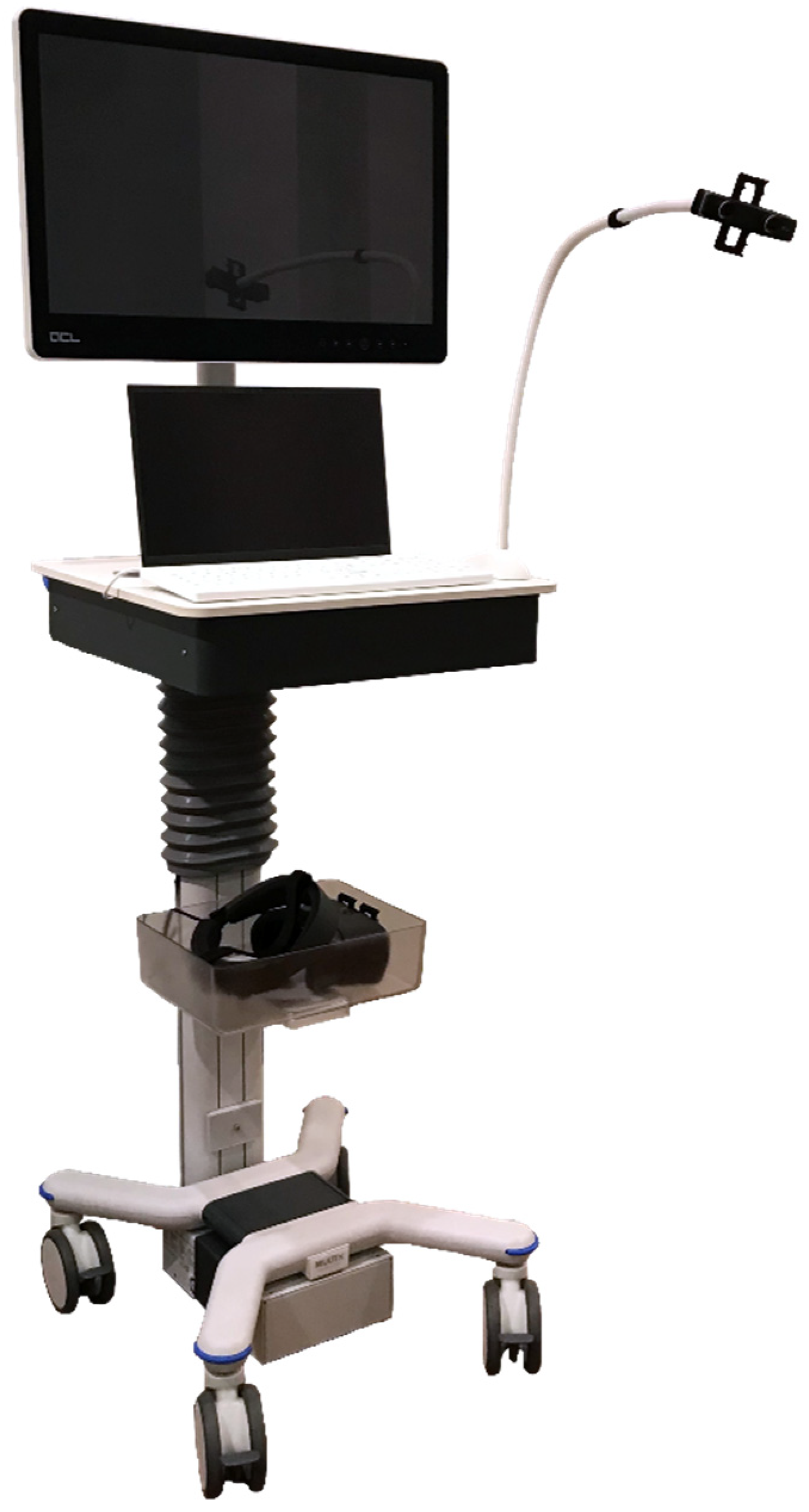 Cancers 14 01312 g002