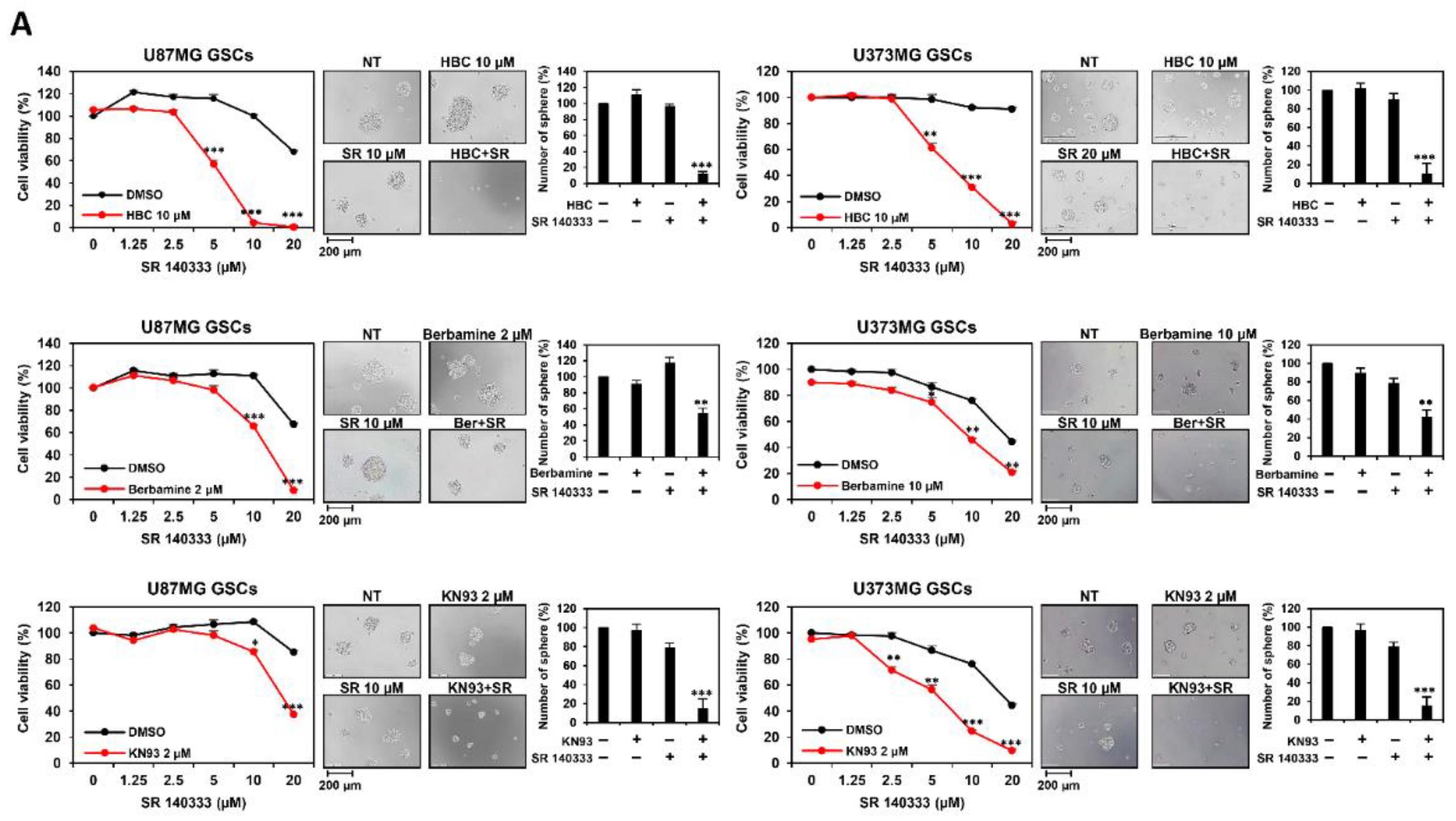 Cancers 14 01315 g002a 550