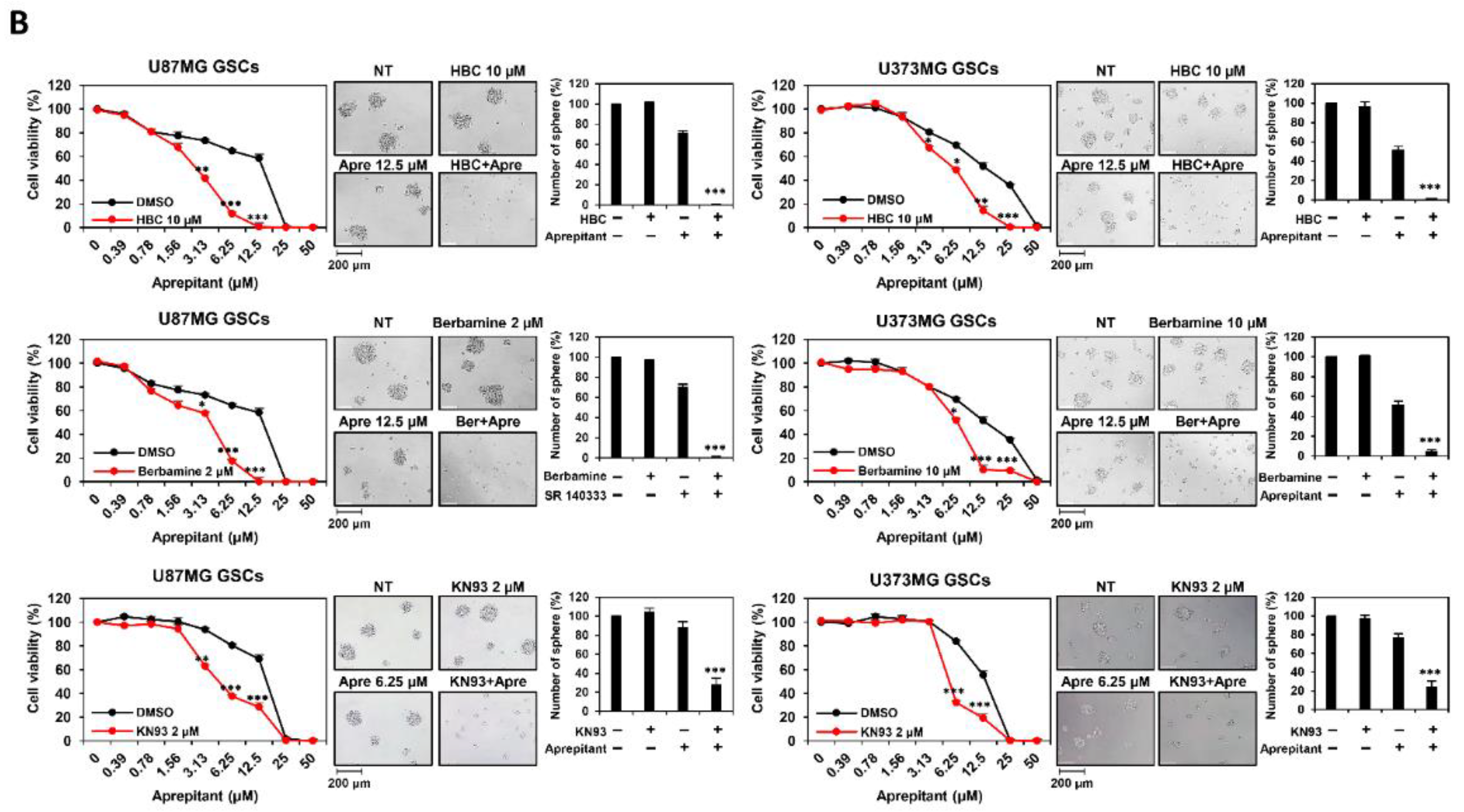 Cancers 14 01315 g002b 550