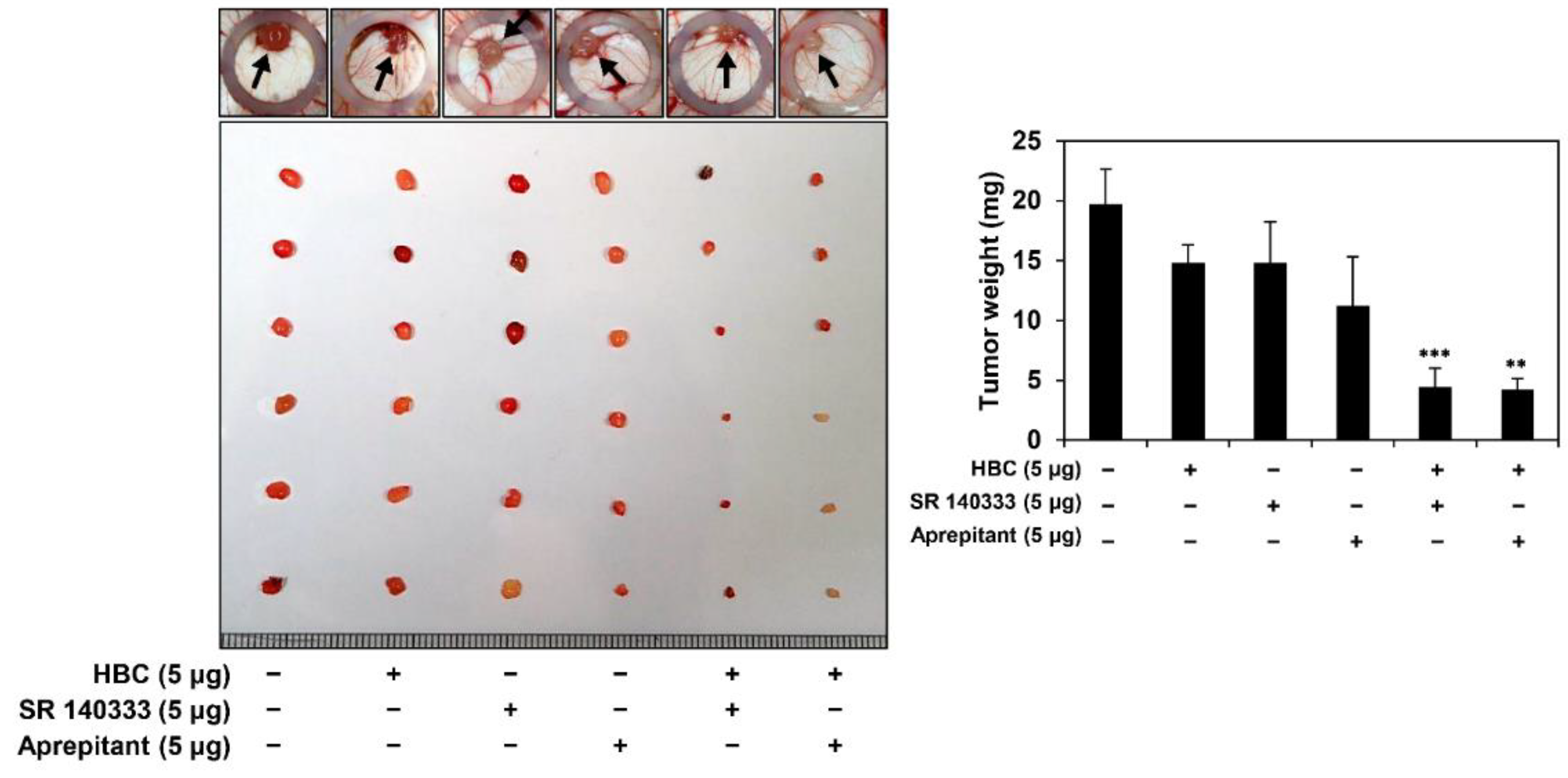 Cancers 14 01315 g003 550