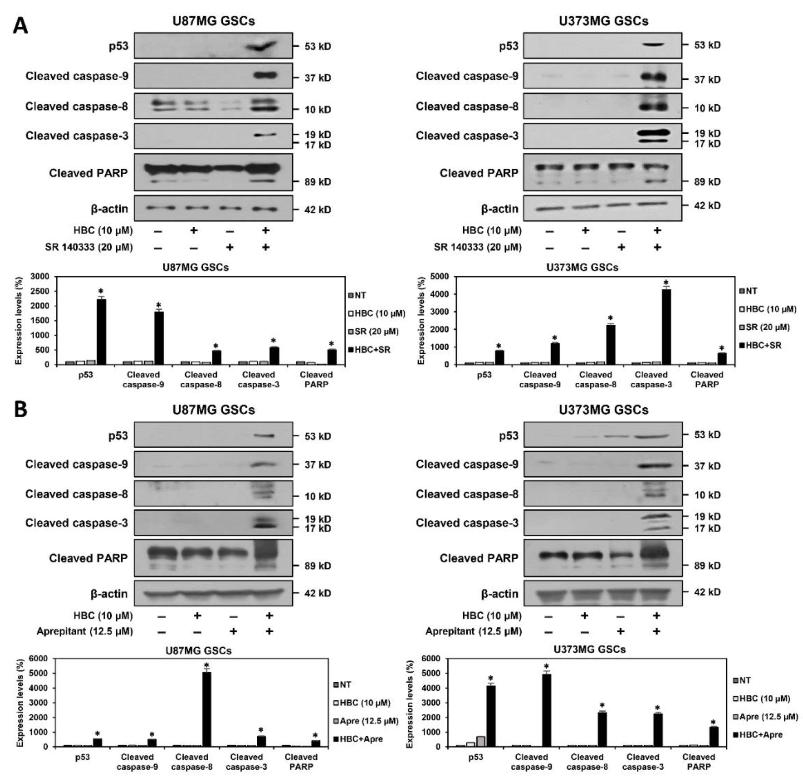 Cancers 14 01315 g006 550