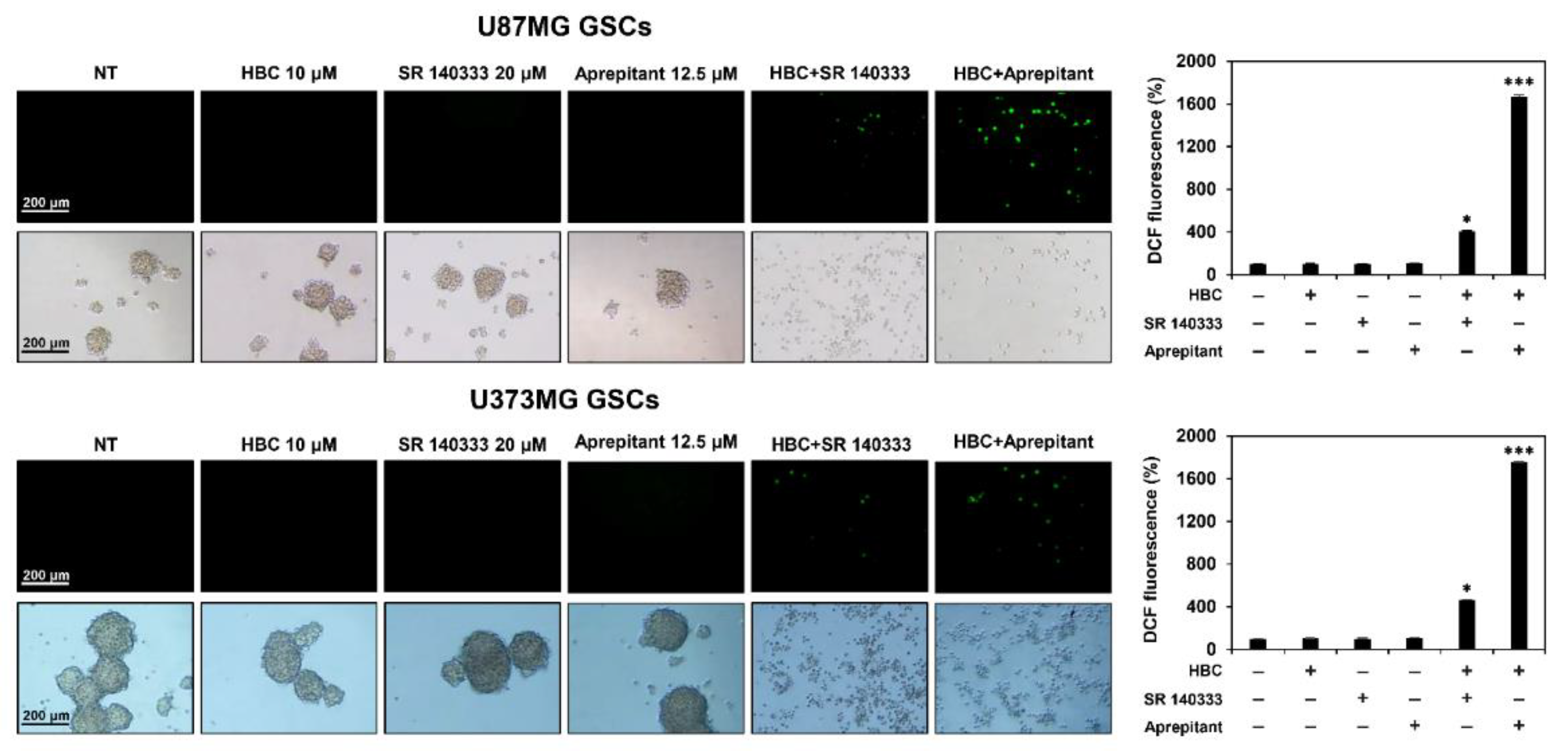 Cancers 14 01315 g007 550