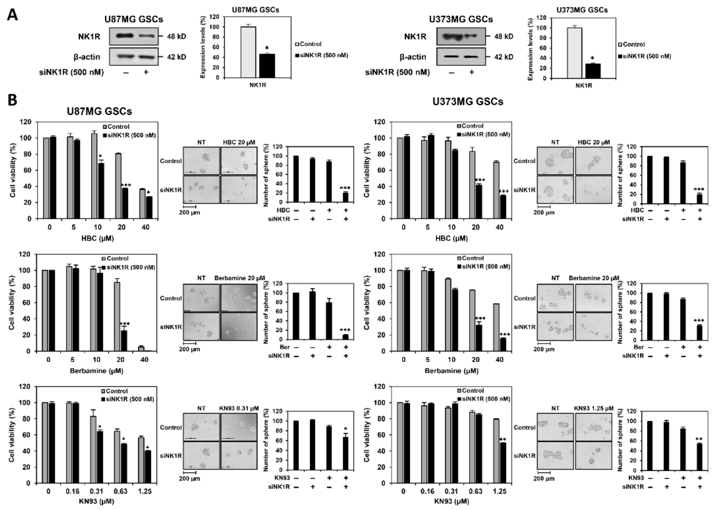 Cancers 14 01315 g008a 550