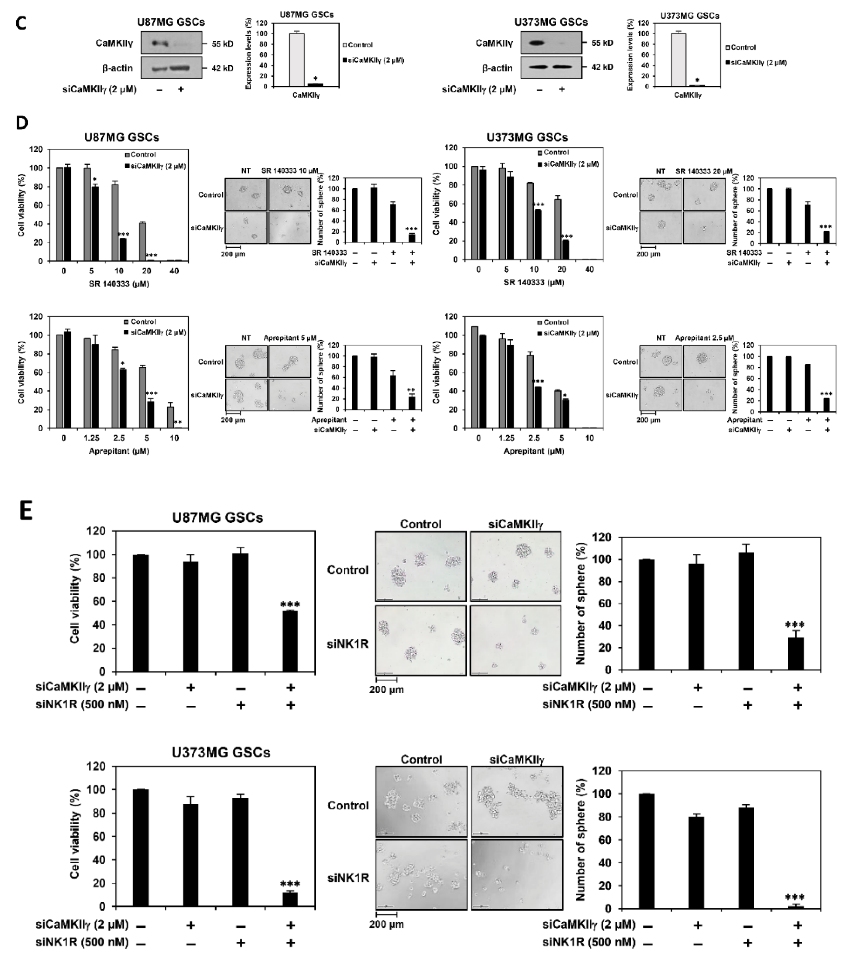 Cancers 14 01315 g008b 550