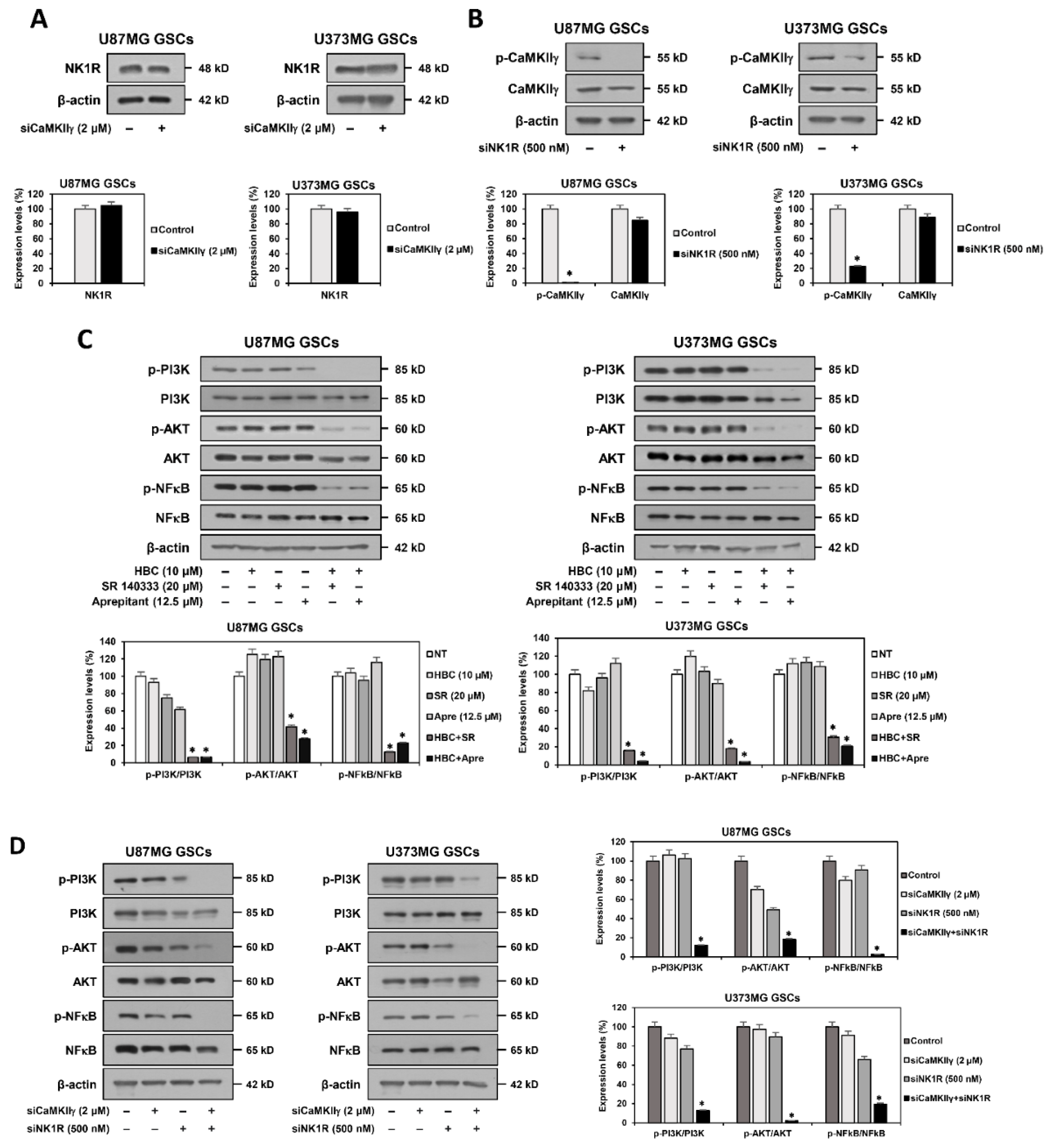 Cancers 14 01315 g009a 550