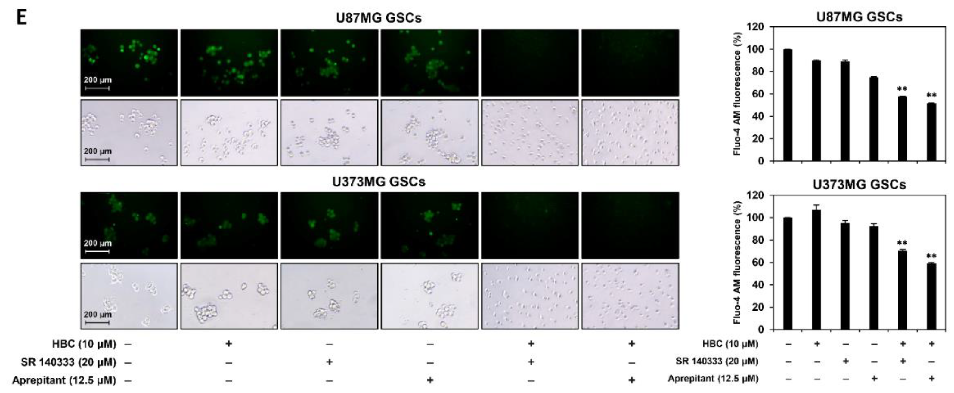 Cancers 14 01315 g009b 550