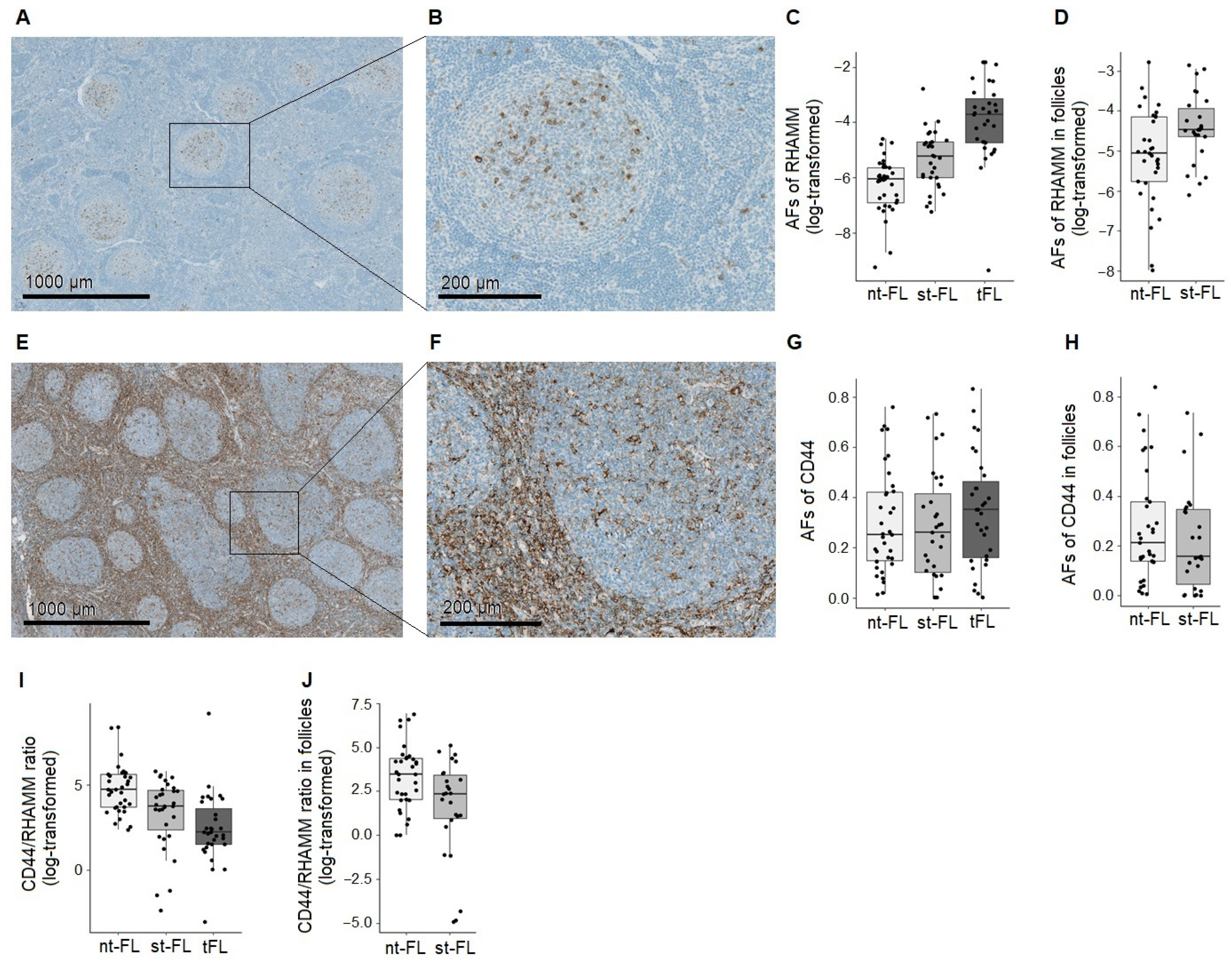 Cancers 14 01316 g001