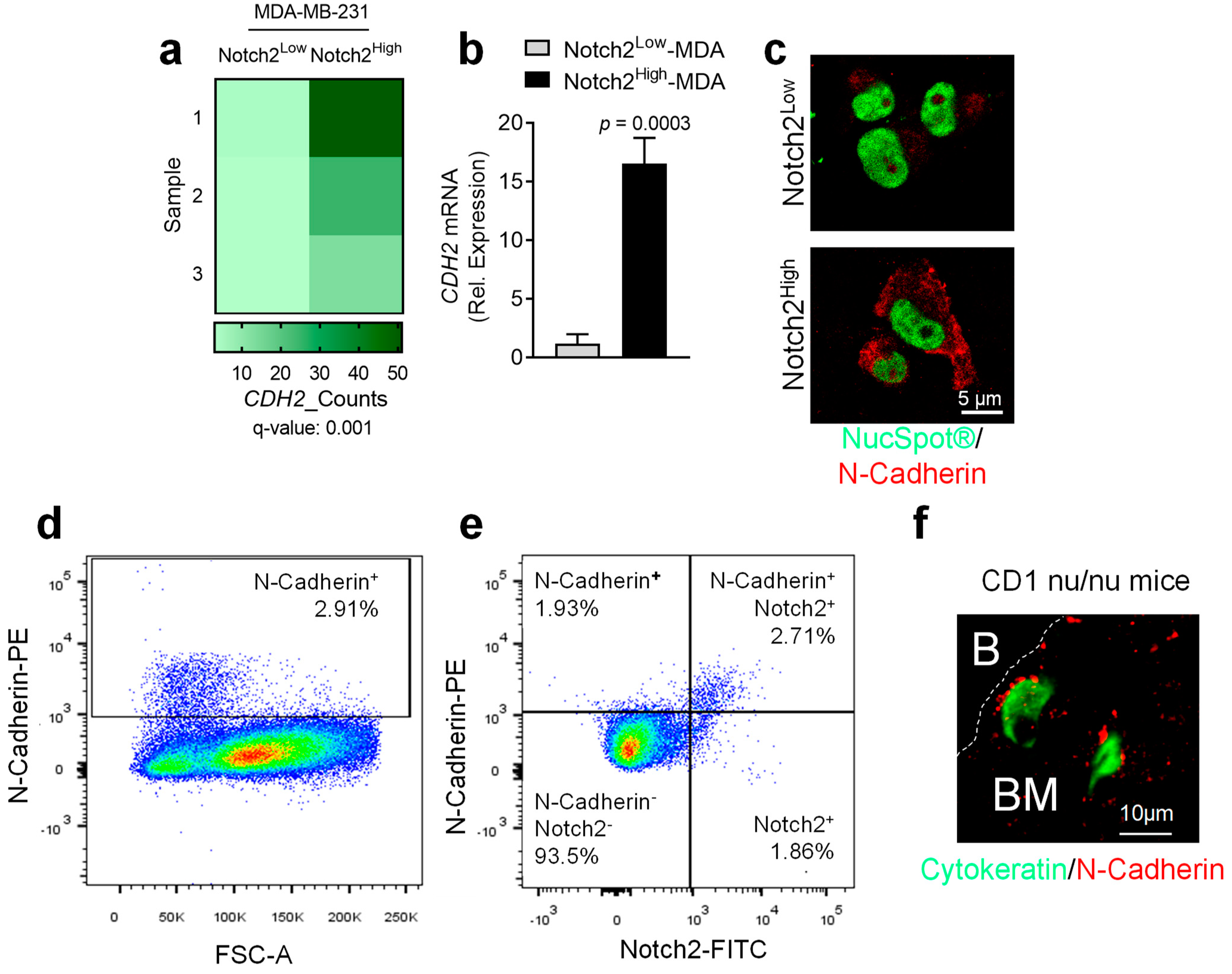 Cancers 14 01317 g001 550