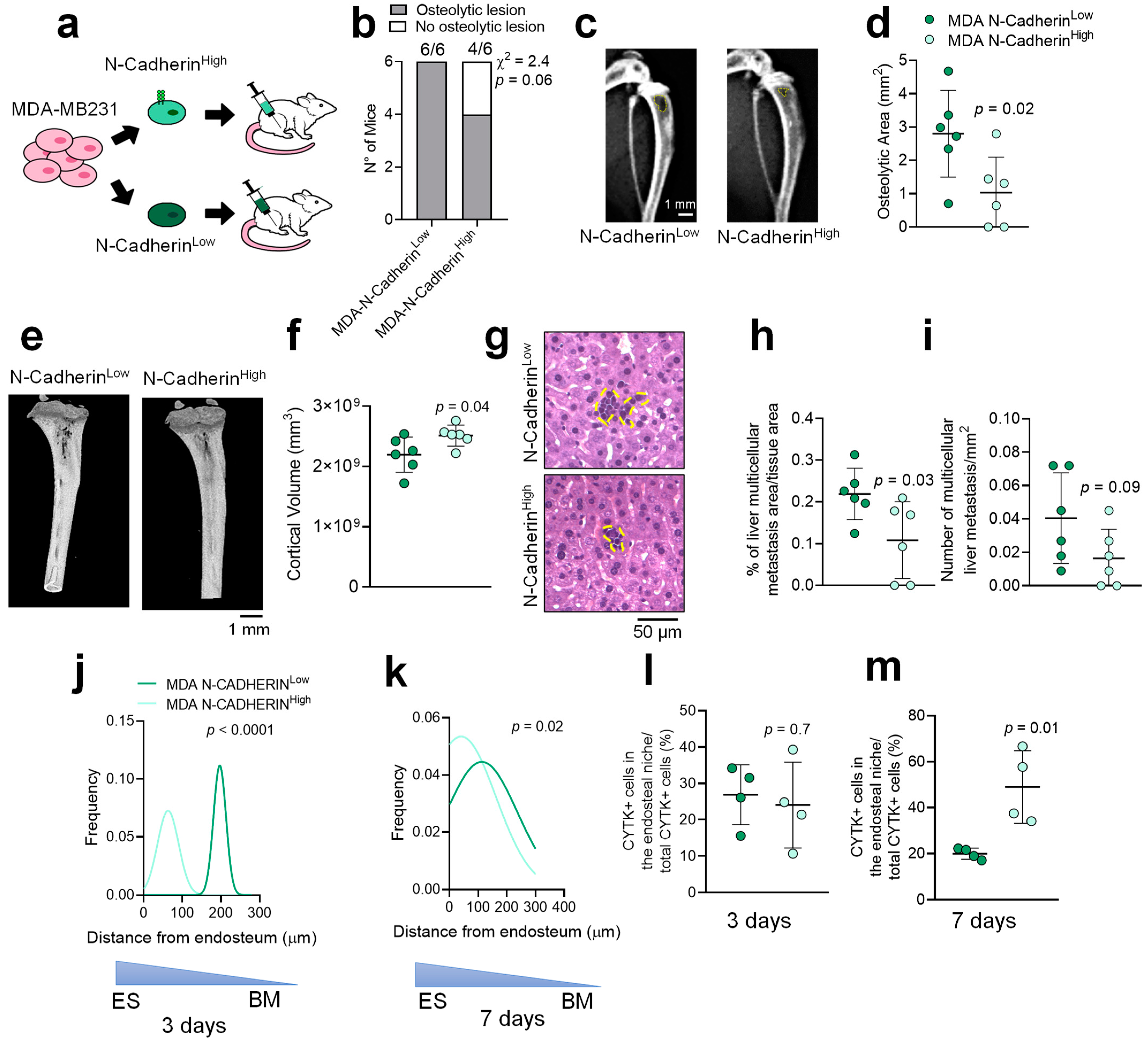 Cancers 14 01317 g002 550