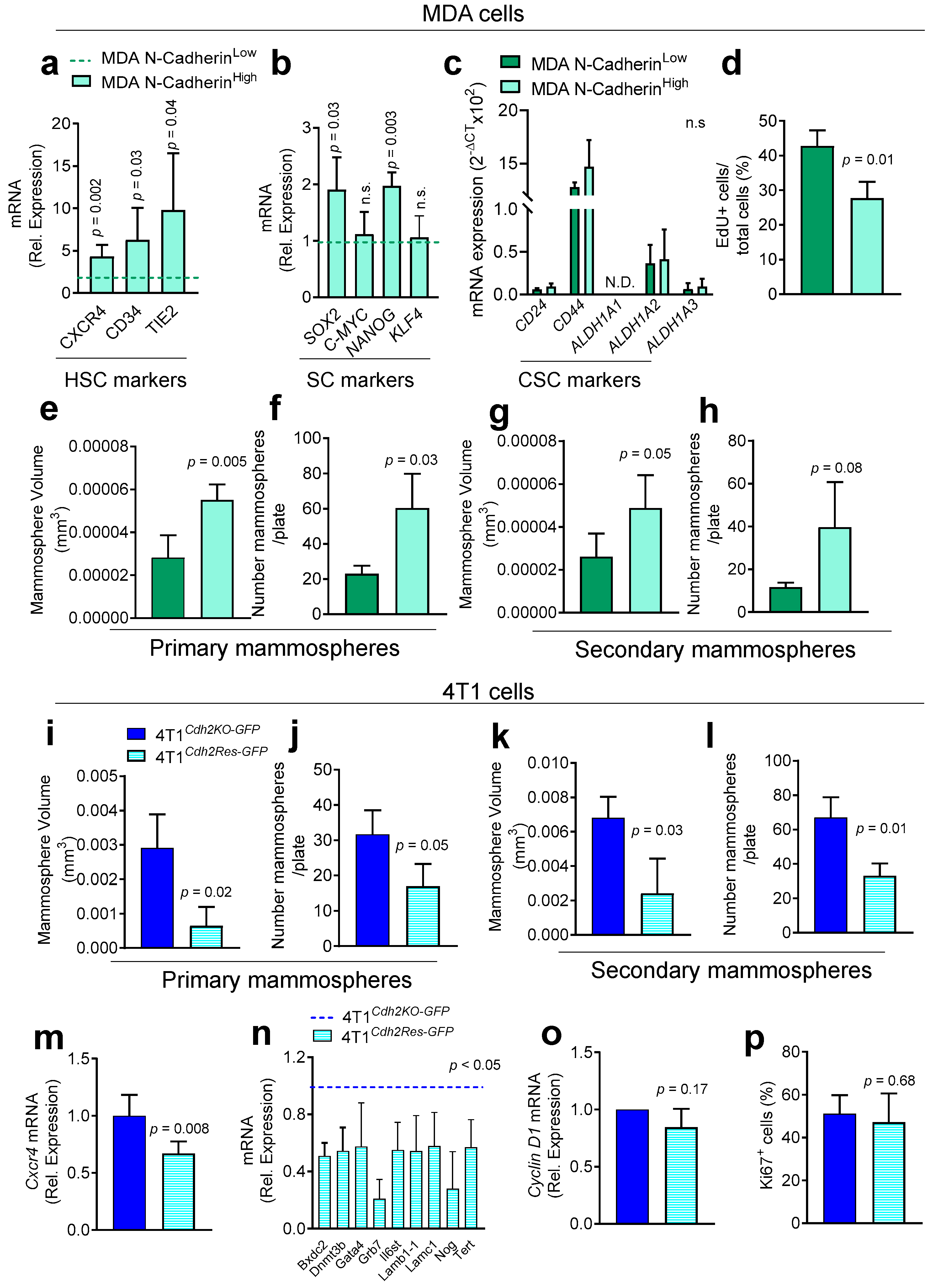 Cancers 14 01317 g005 550
