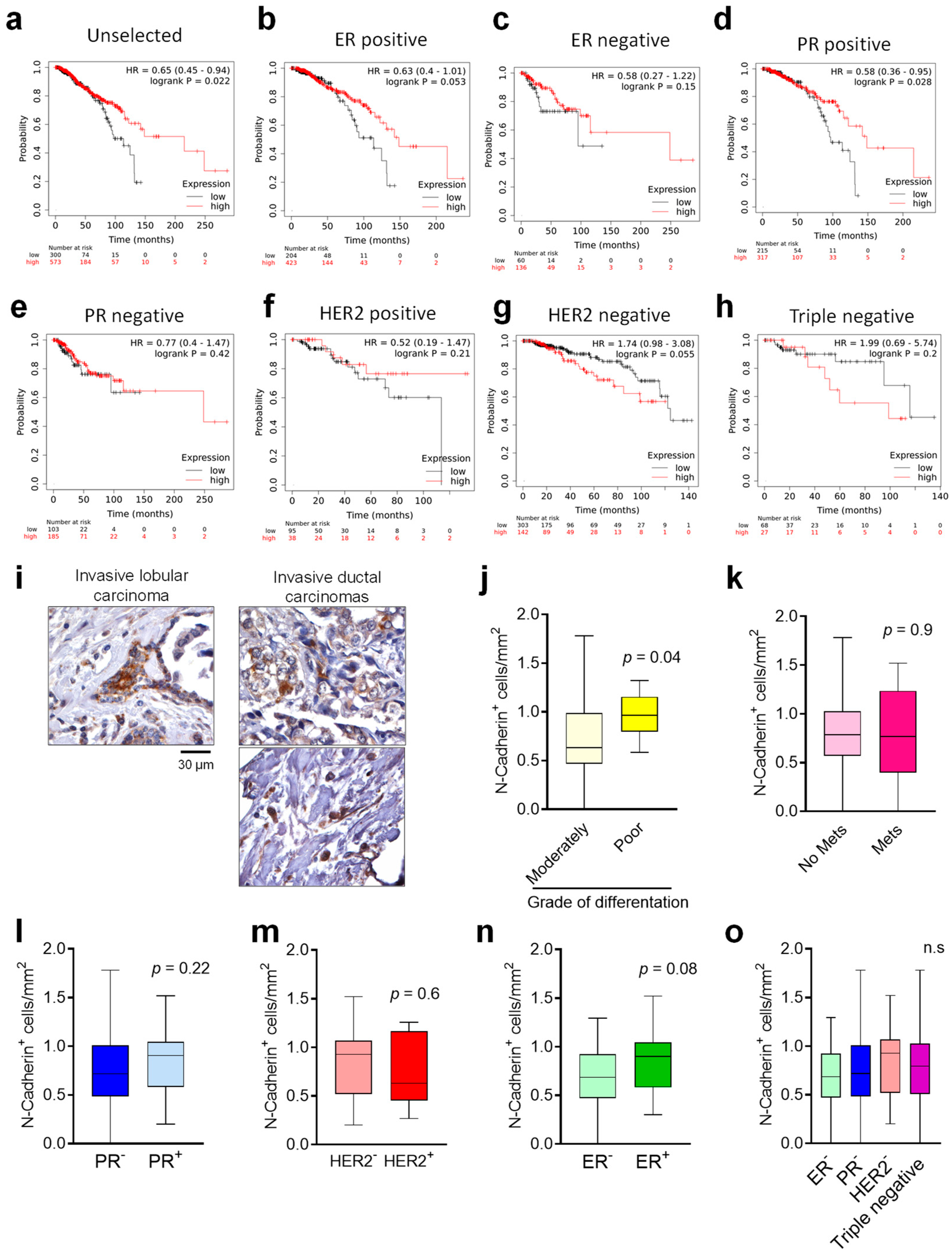 Cancers 14 01317 g006 550