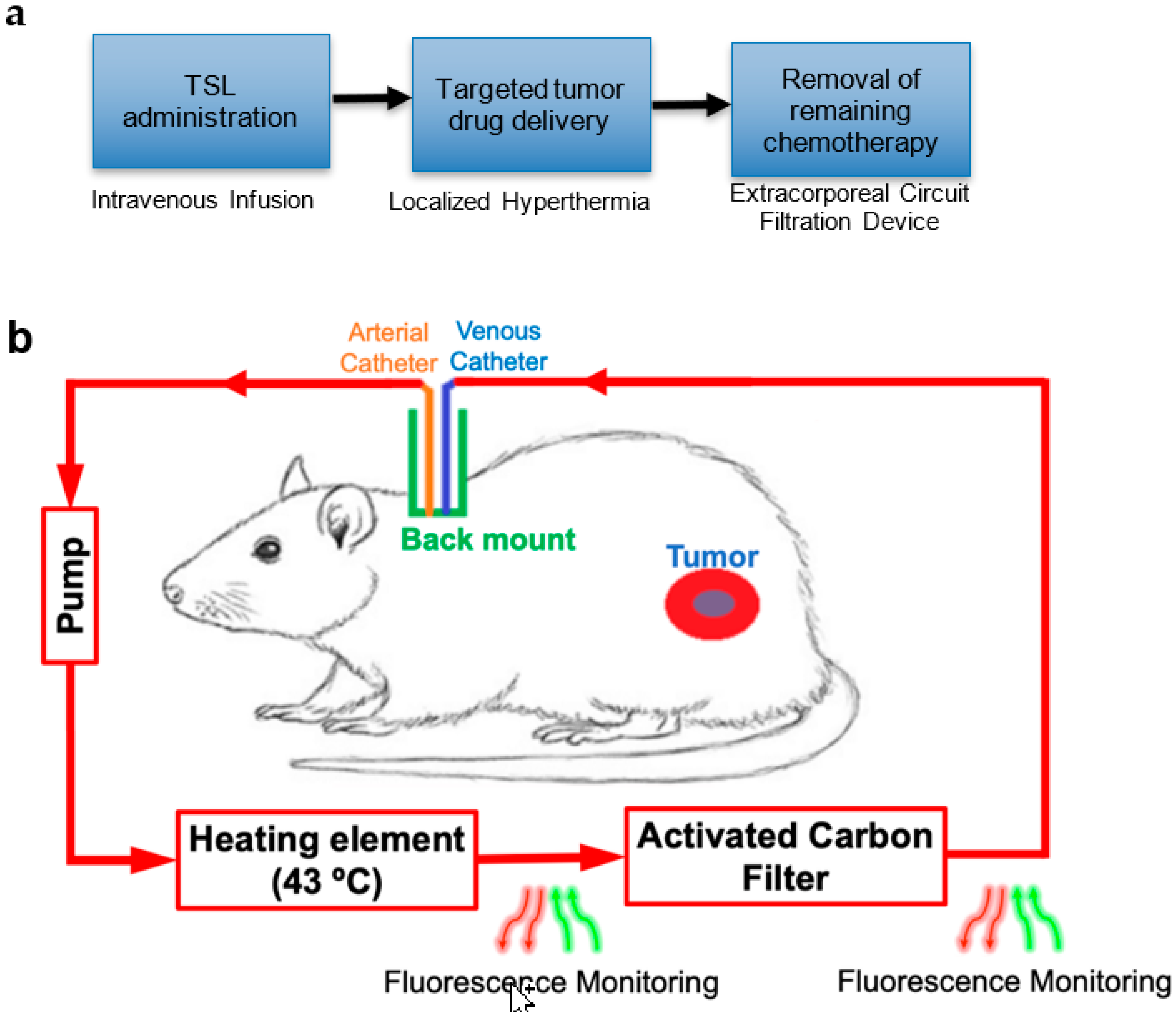Cancers 14 01322 g001