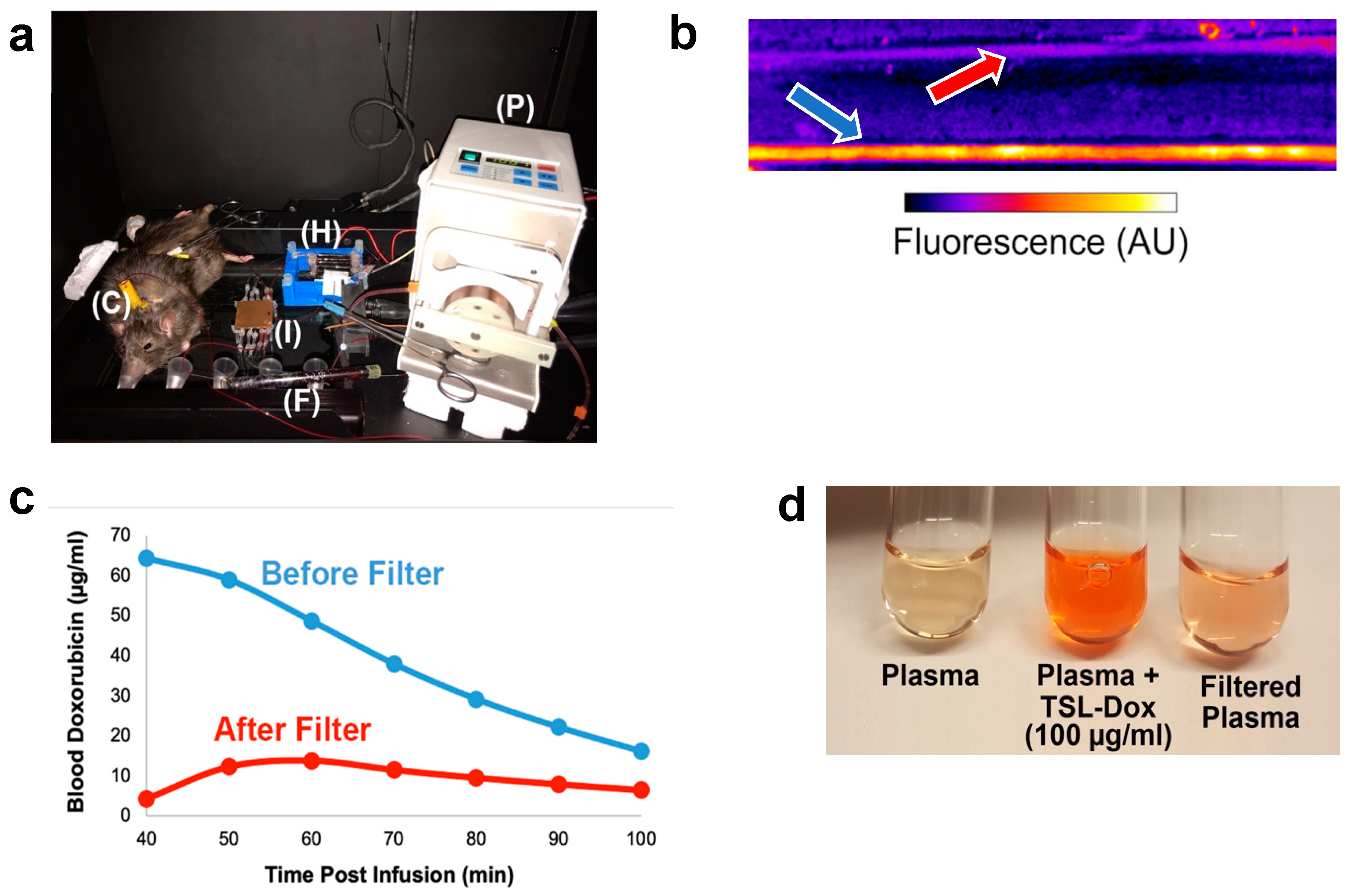 Cancers 14 01322 g005