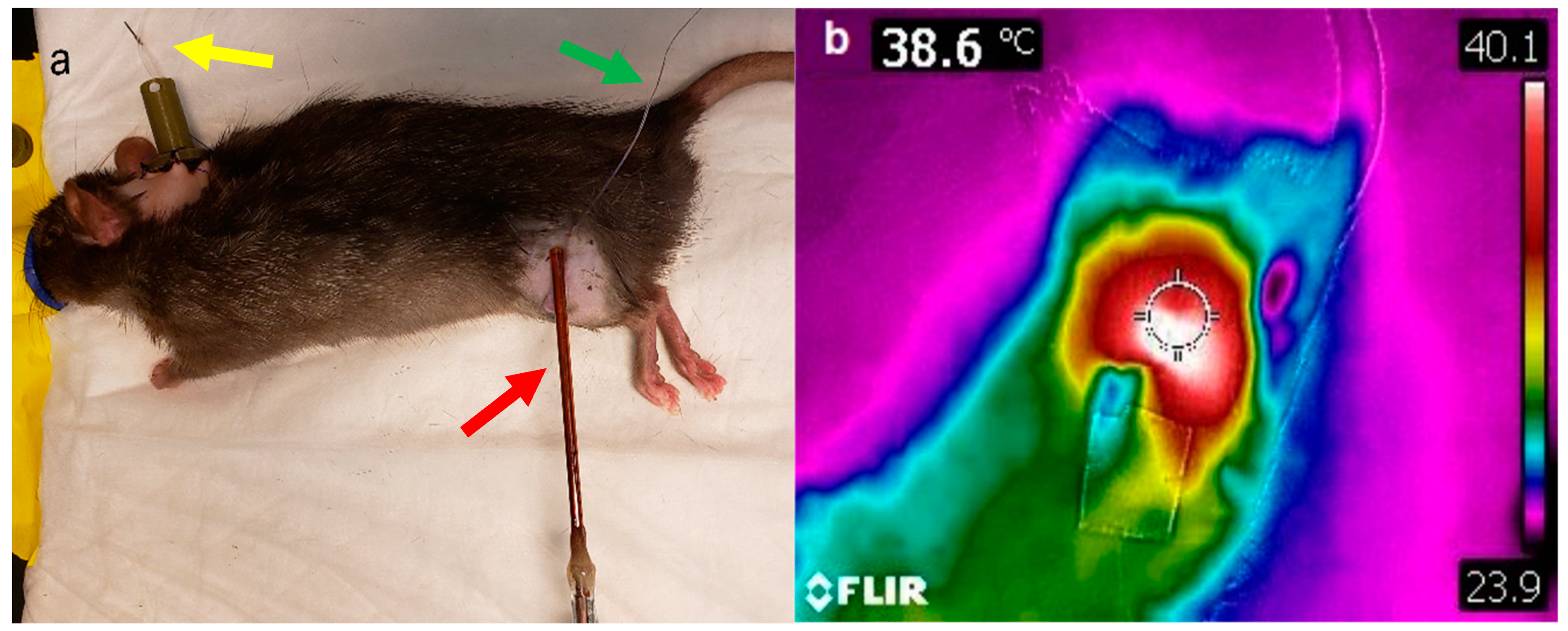 Cancers 14 01322 g008