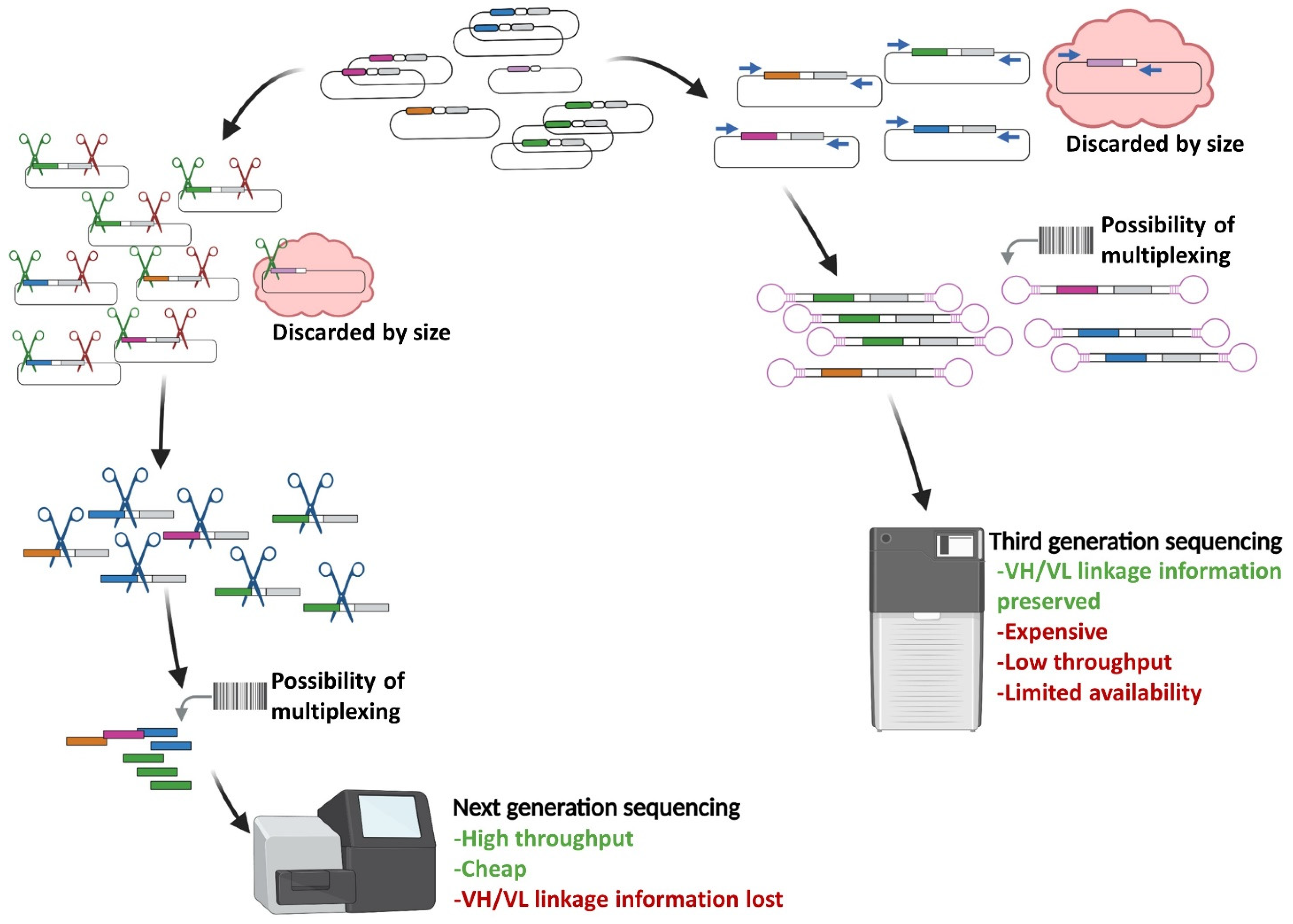 Cancers 14 01325 g002 Cancers 14 01325 g002