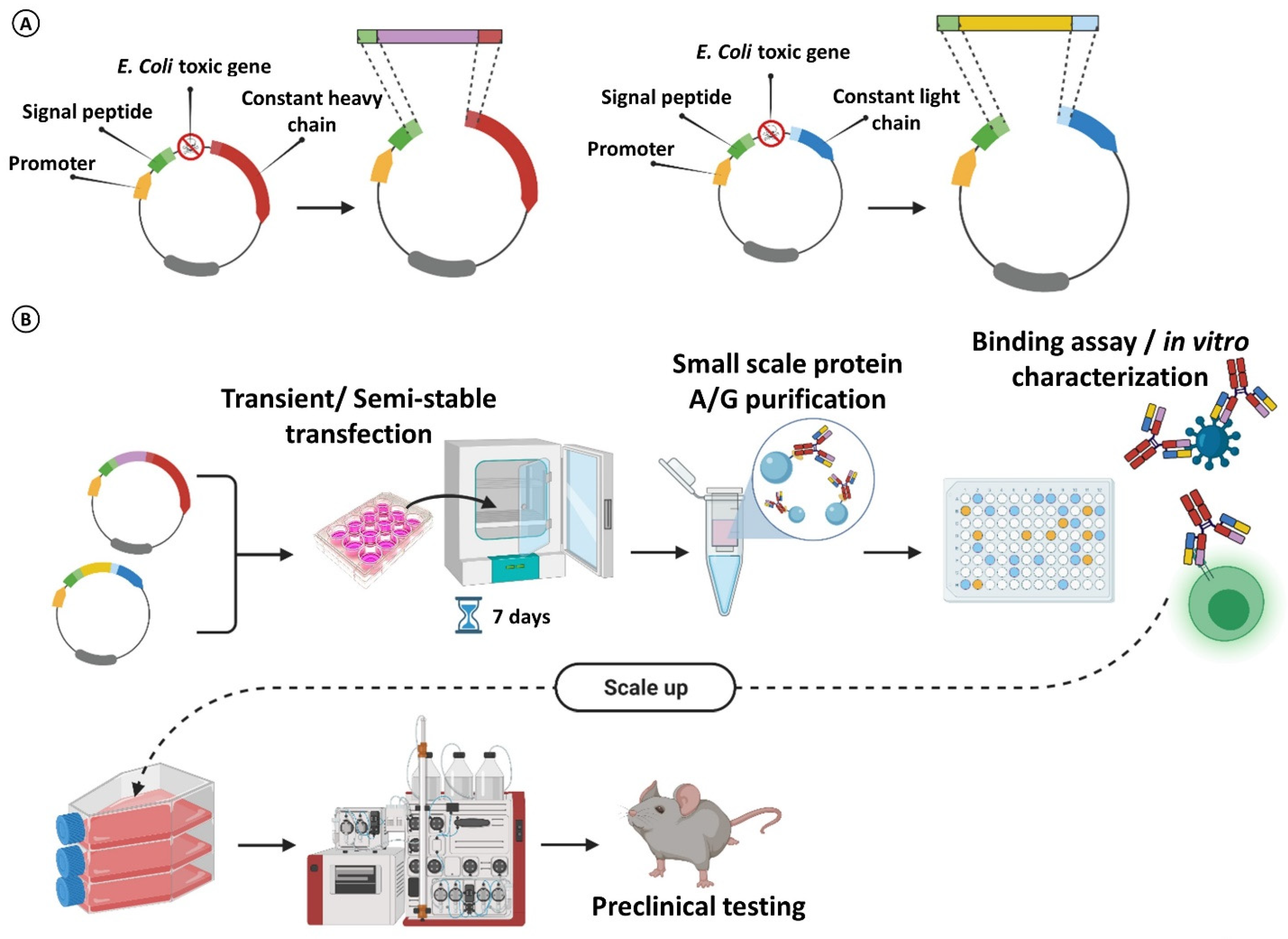 Cancers 14 01325 g006 Cancers 14 01325 g006