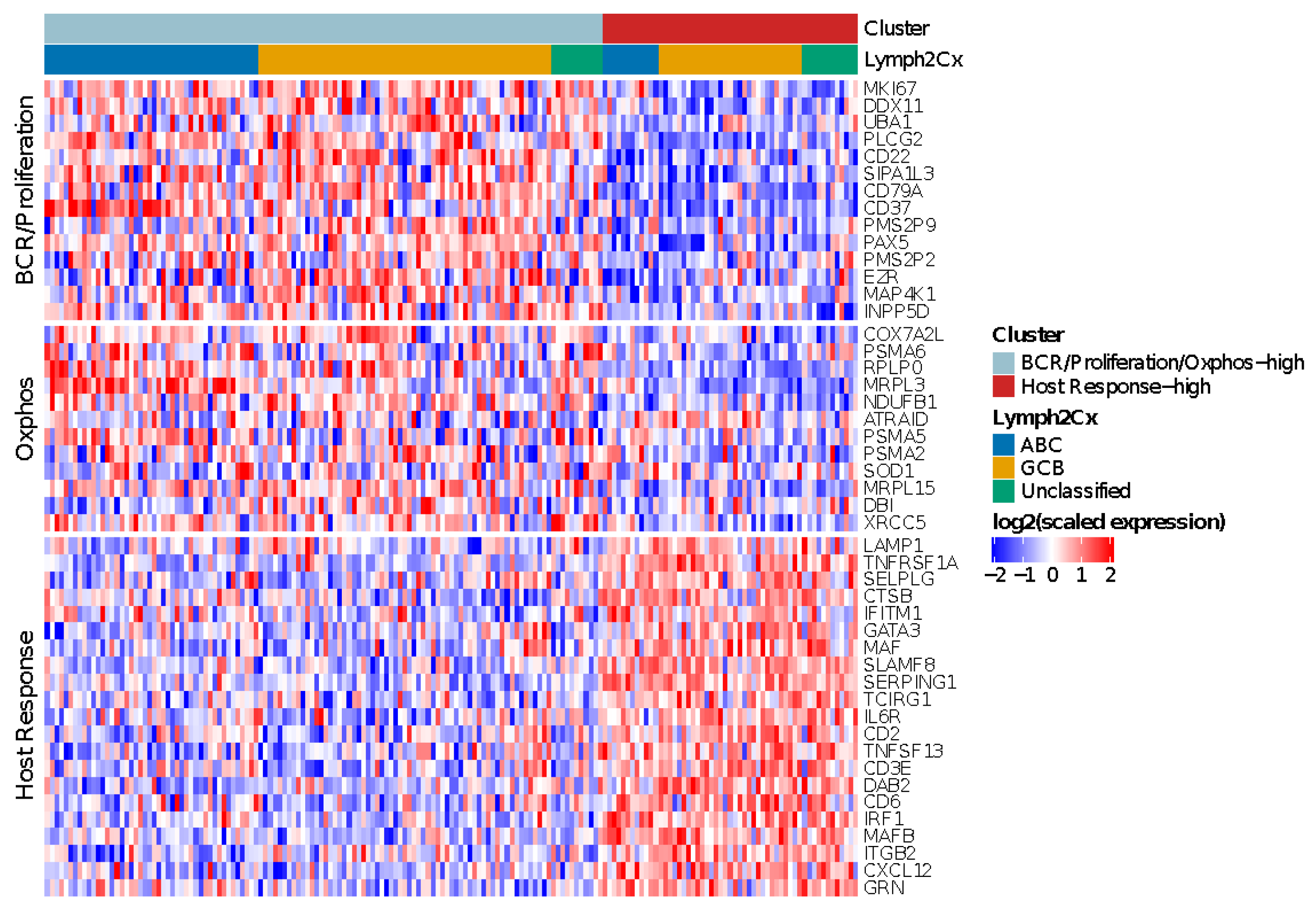 Cancers 14 01346 g003