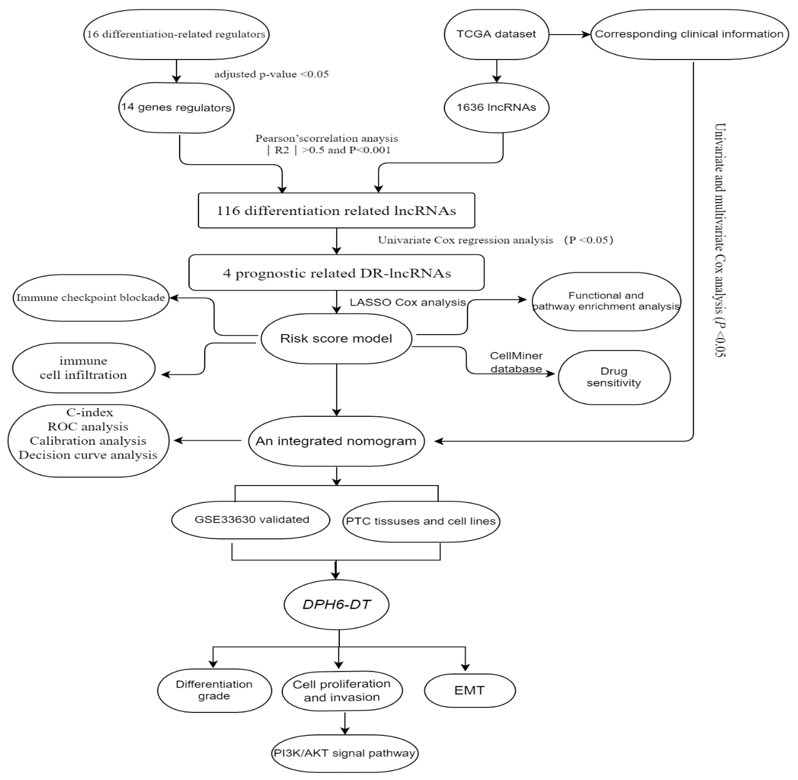 Cancers | Free Full-Text | Comprehensive Analysis of the Prognosis