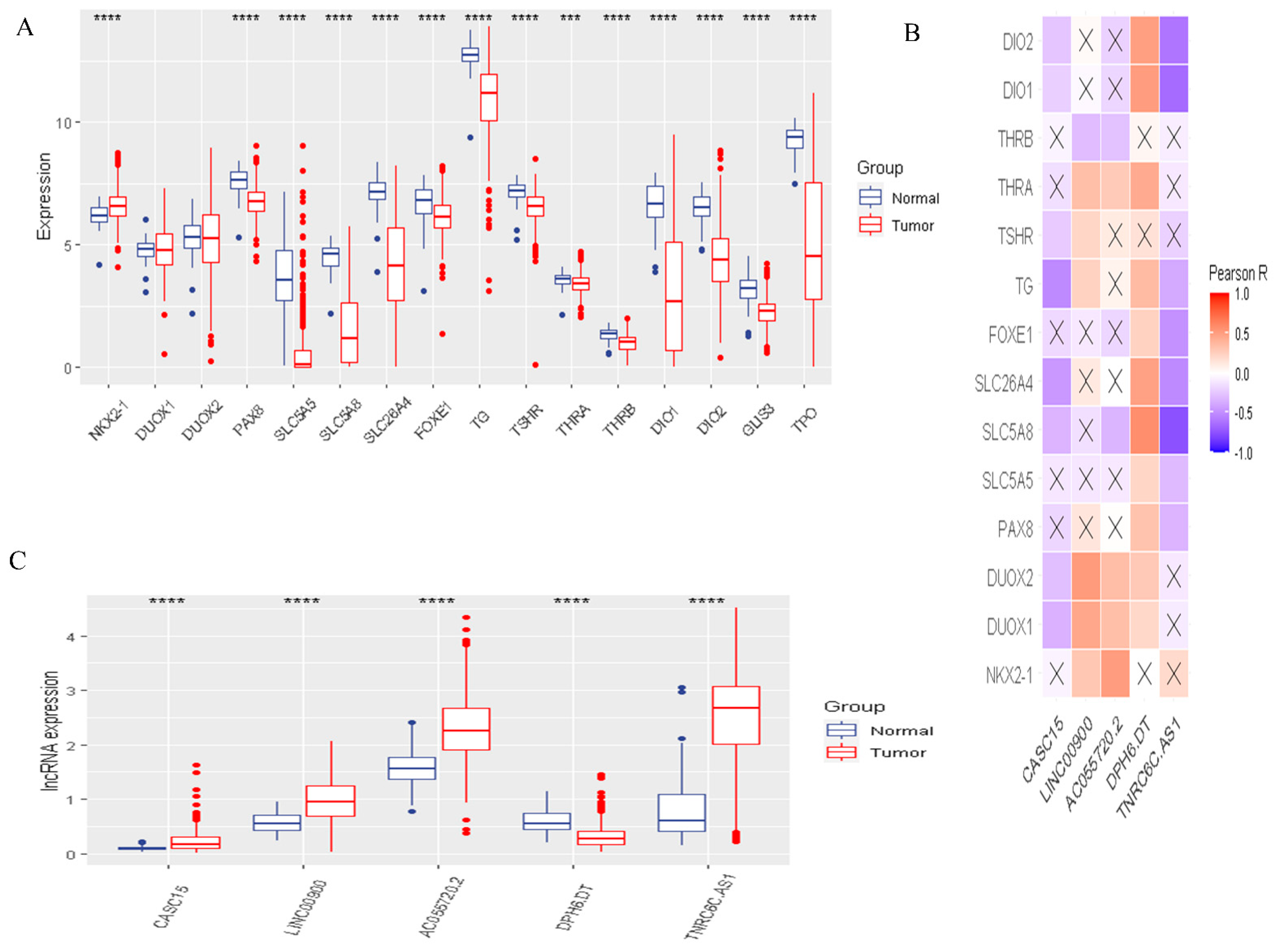 Cancers 14 01353 g002 550