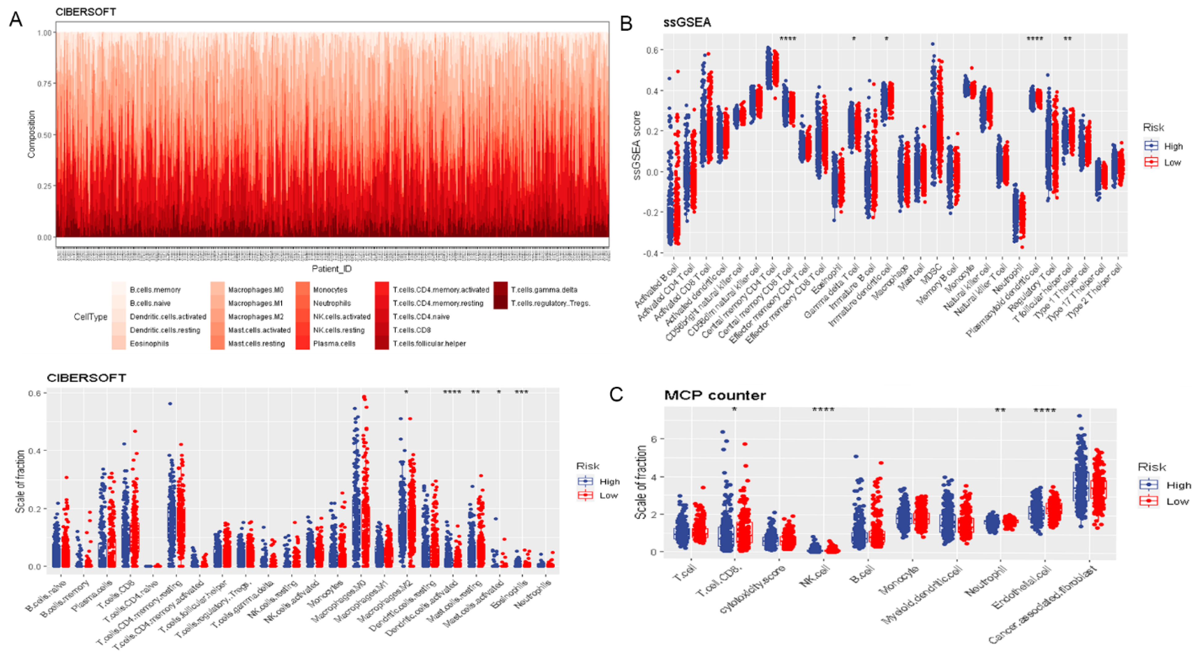 Cancers 14 01353 g004 550