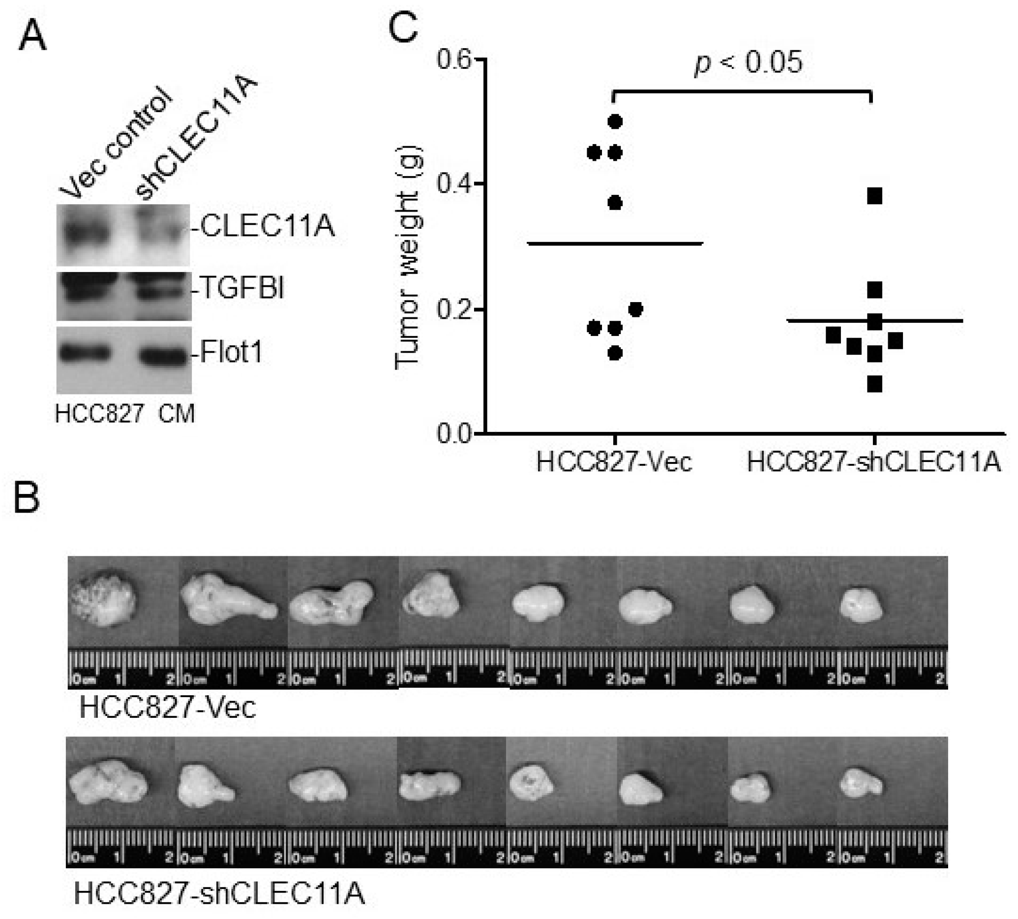 Cancers 14 01356 g004 550