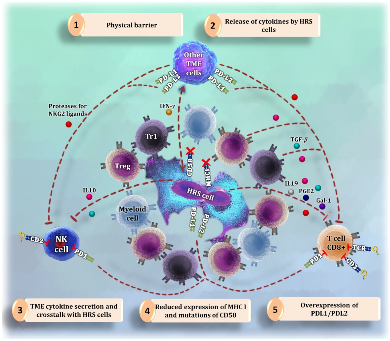 Cancers 14 01360 g001 550