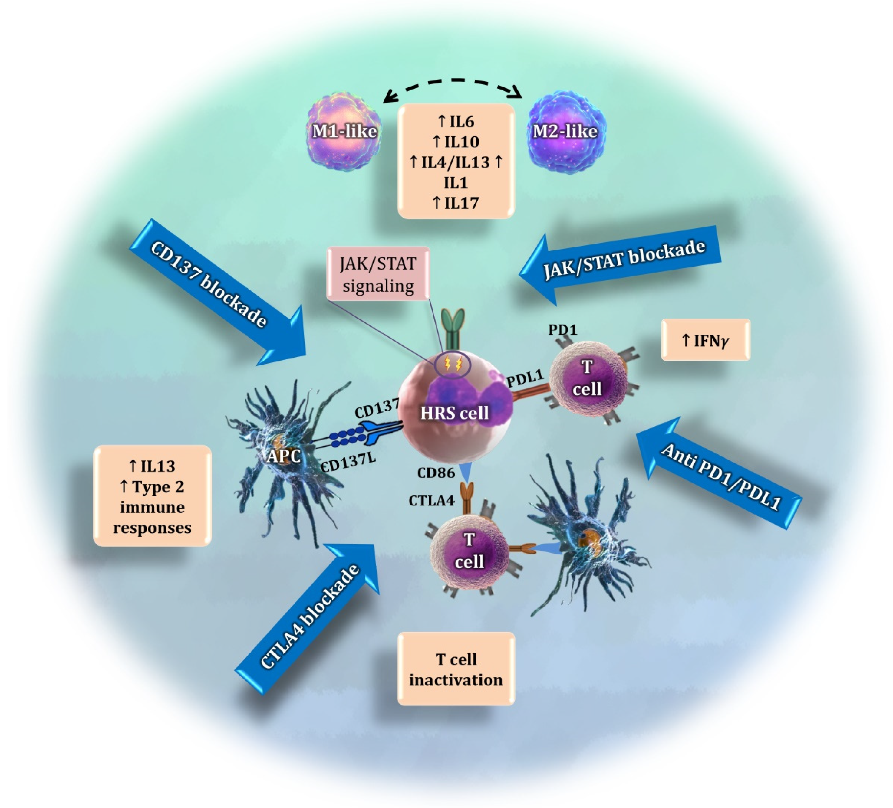 Cancers 14 01360 g002 550