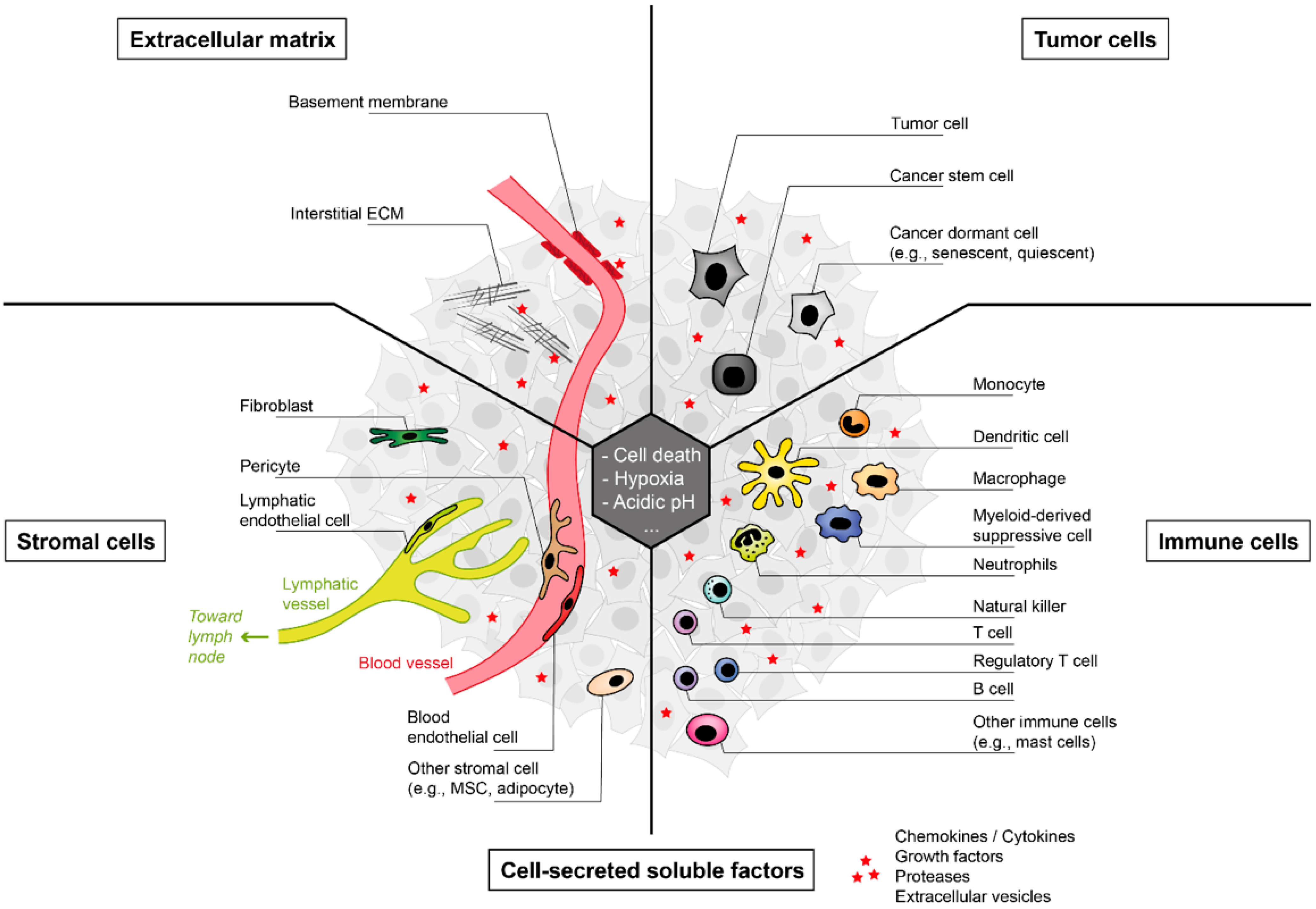 Cancers 14 01364 g002 Cancers 14 01364 g002
