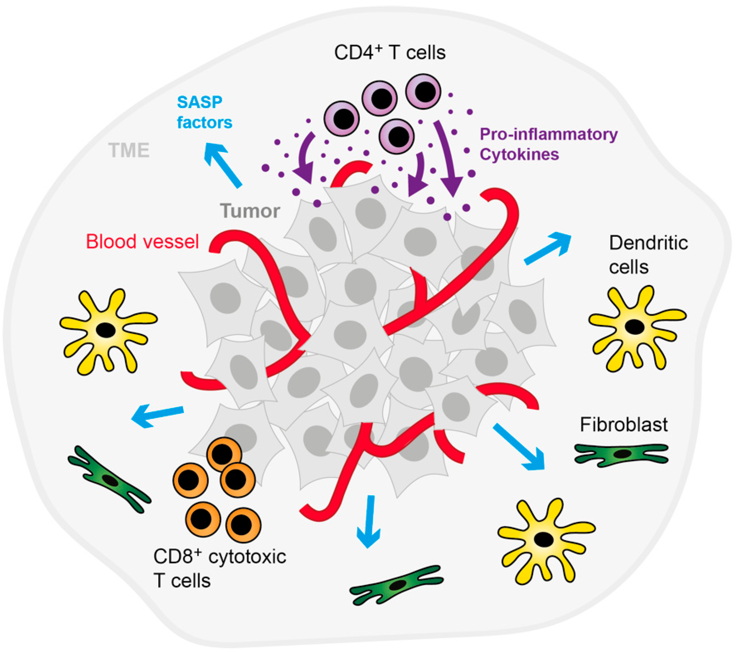 Cancers 14 01364 g003 Cancers 14 01364 g003