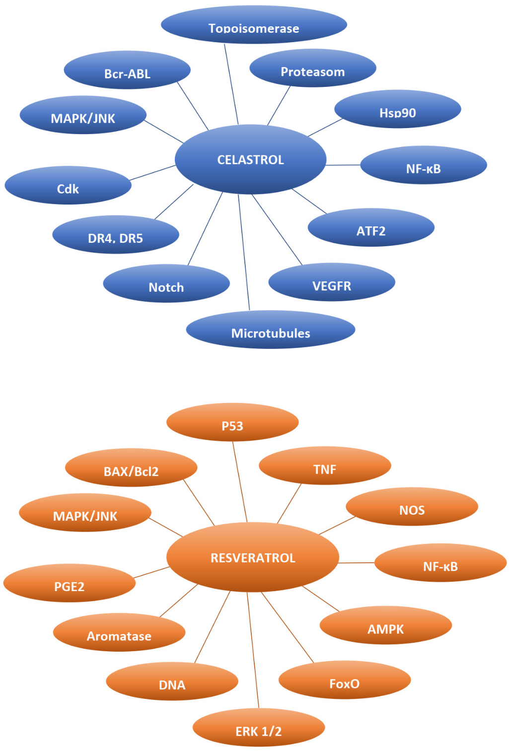 Cancers 14 01372 g001