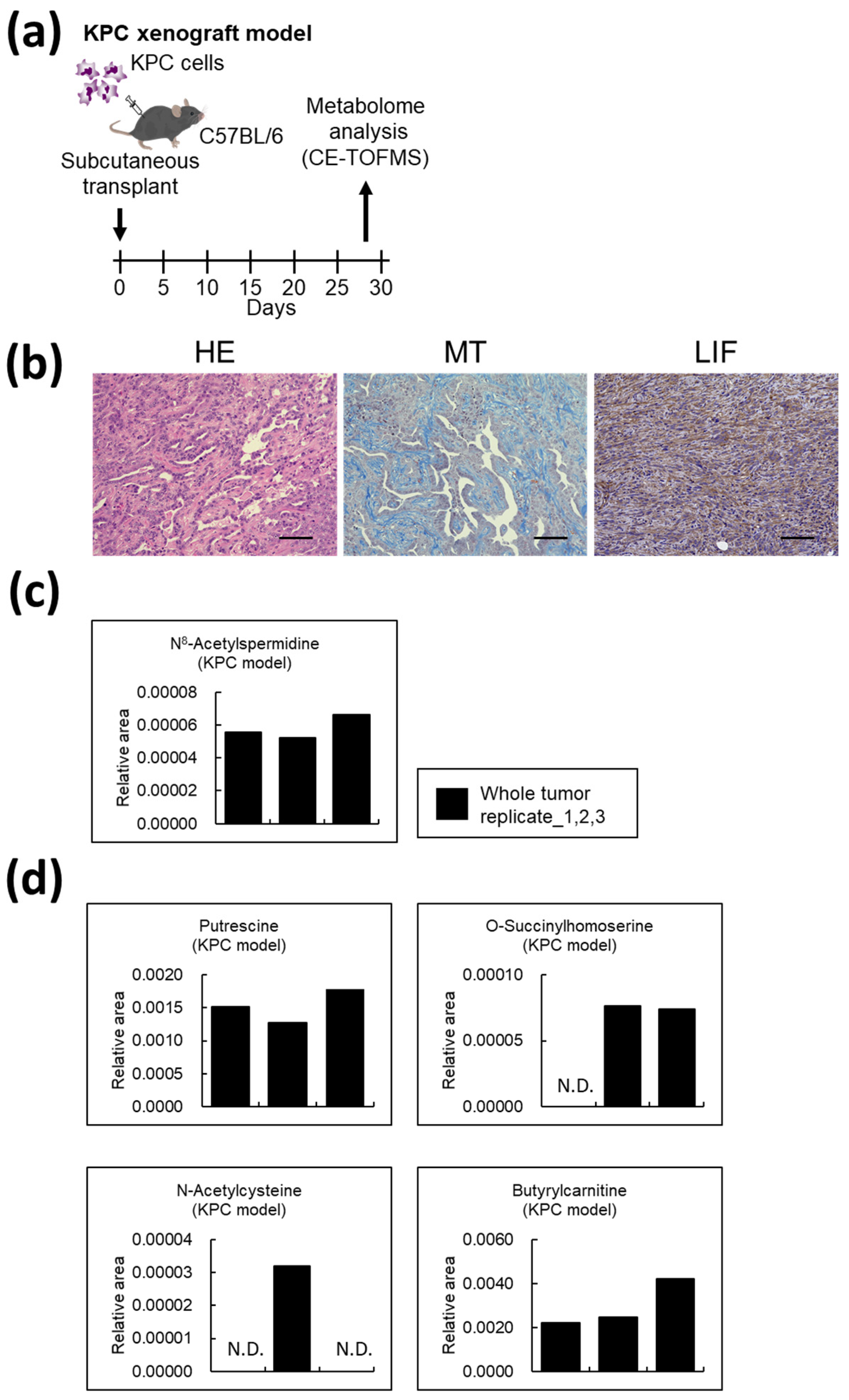 Cancers 14 01375 g007 550