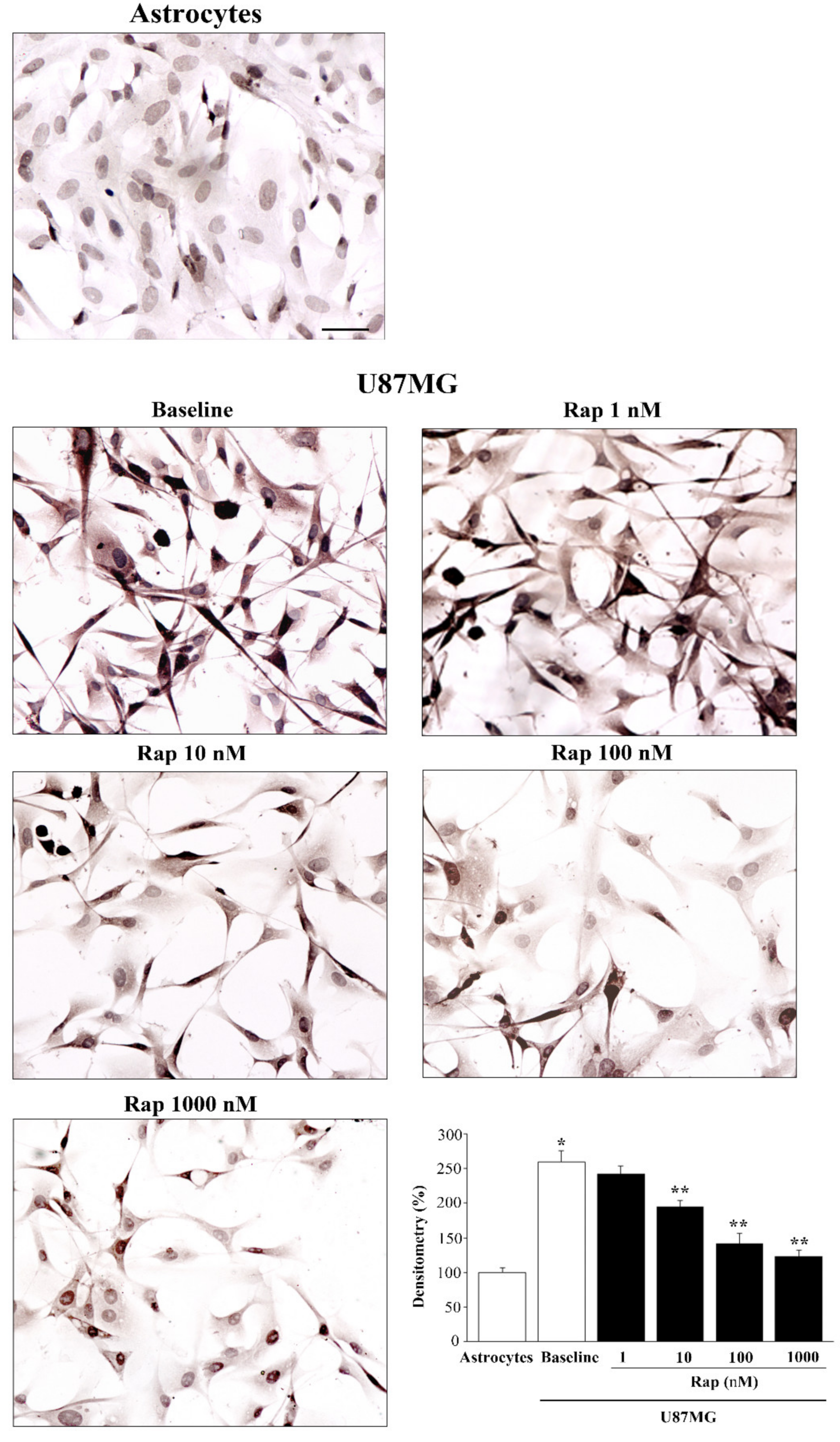 Cancers 14 01382 g006 Cancers 14 01382 g006