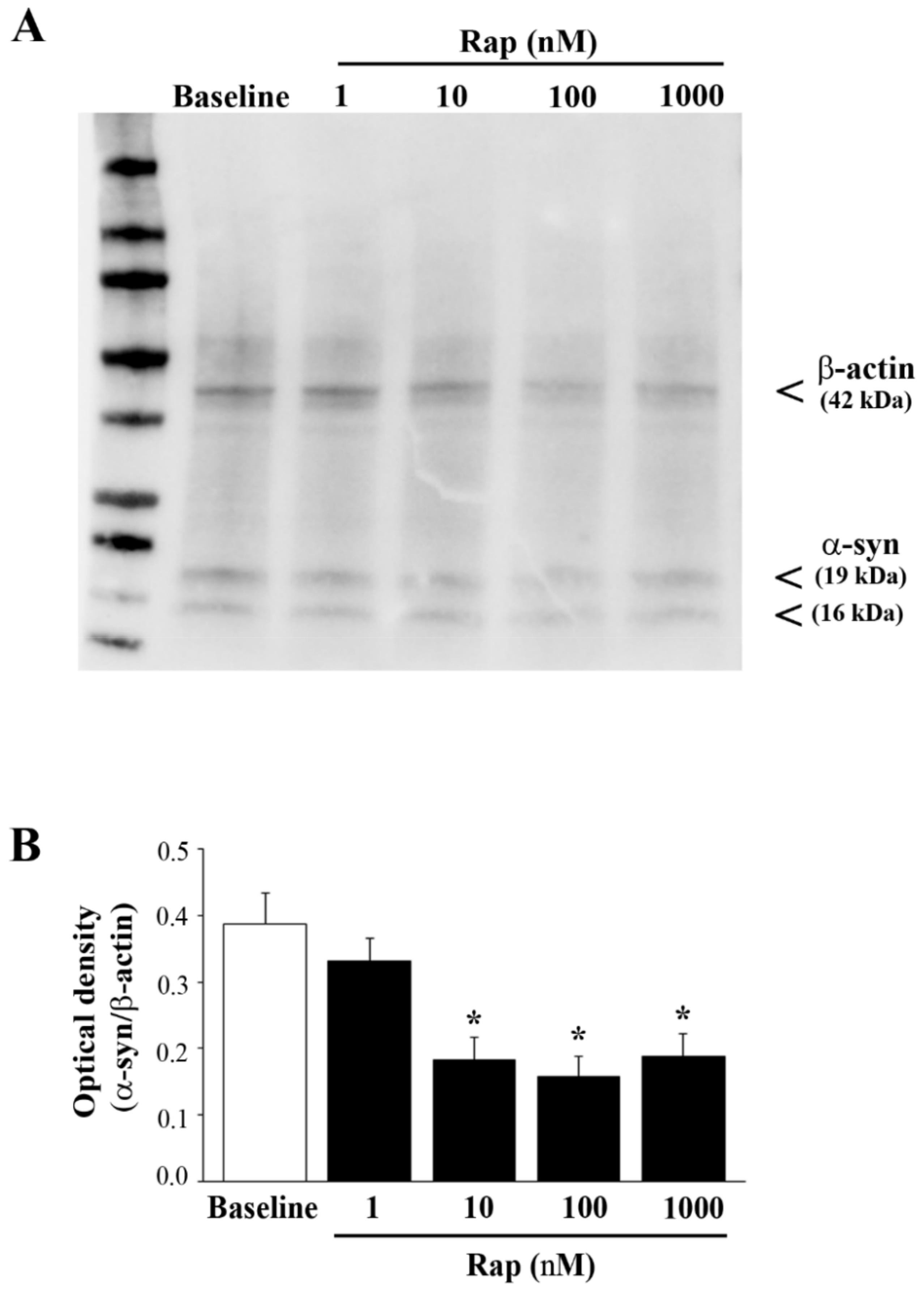 Cancers 14 01382 g008 Cancers 14 01382 g008