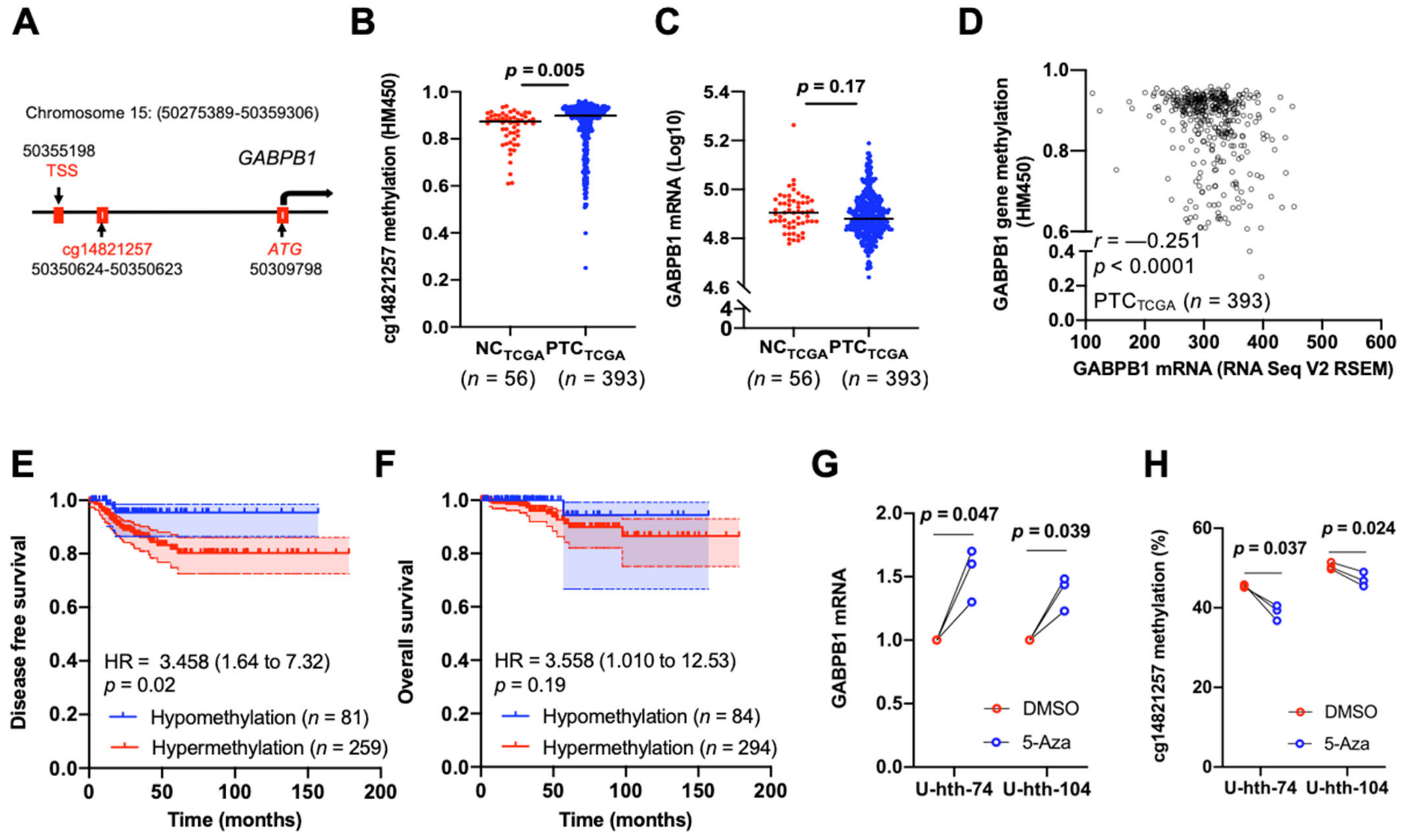 Cancers 14 01385 g004 550