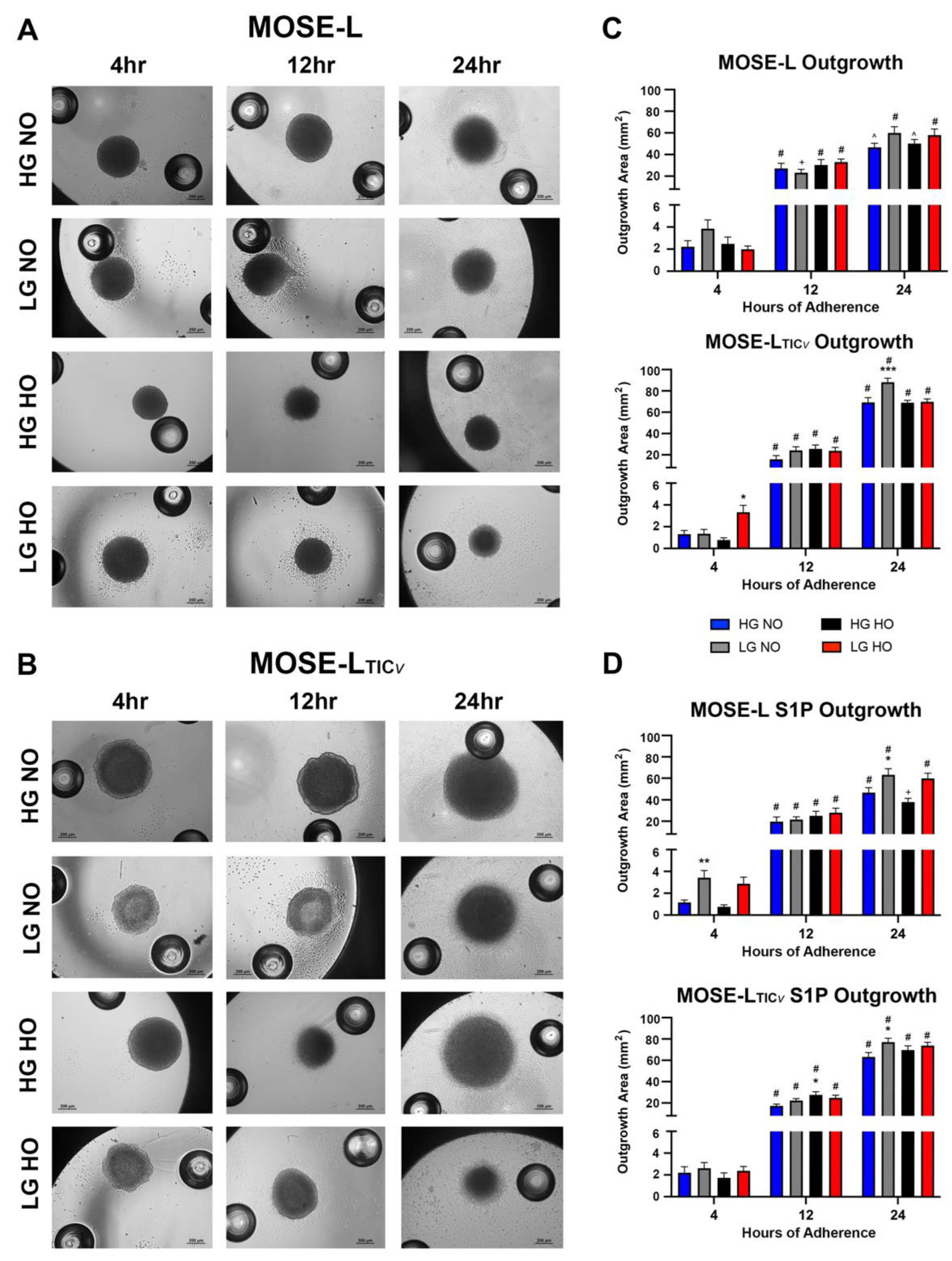 Cancers 14 01399 g003