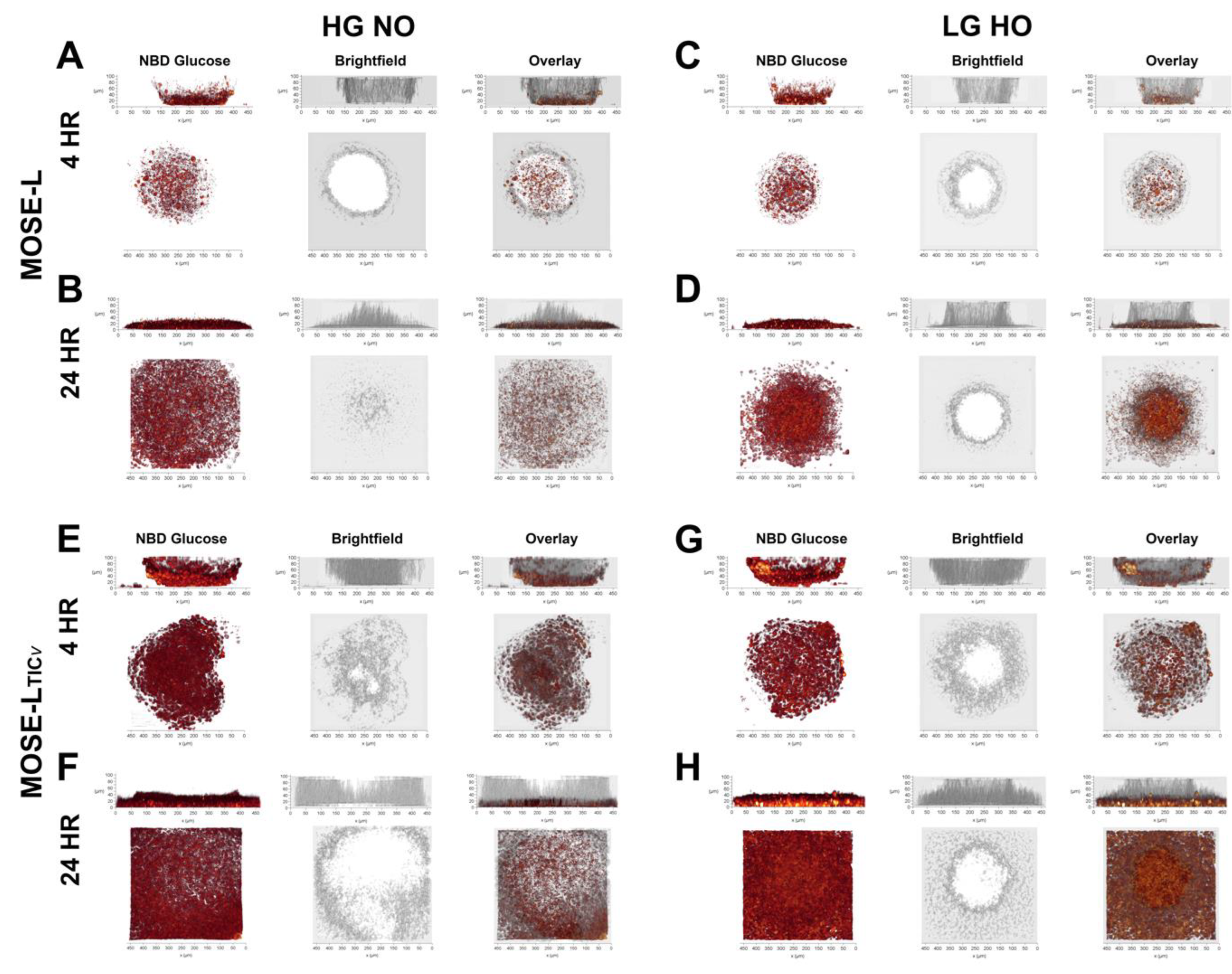 Cancers 14 01399 g004